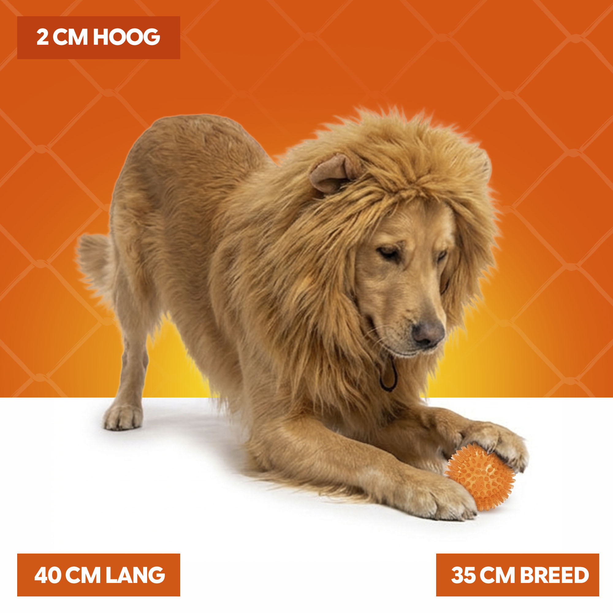 Oranje Manen Tooi L — afbeelding 5