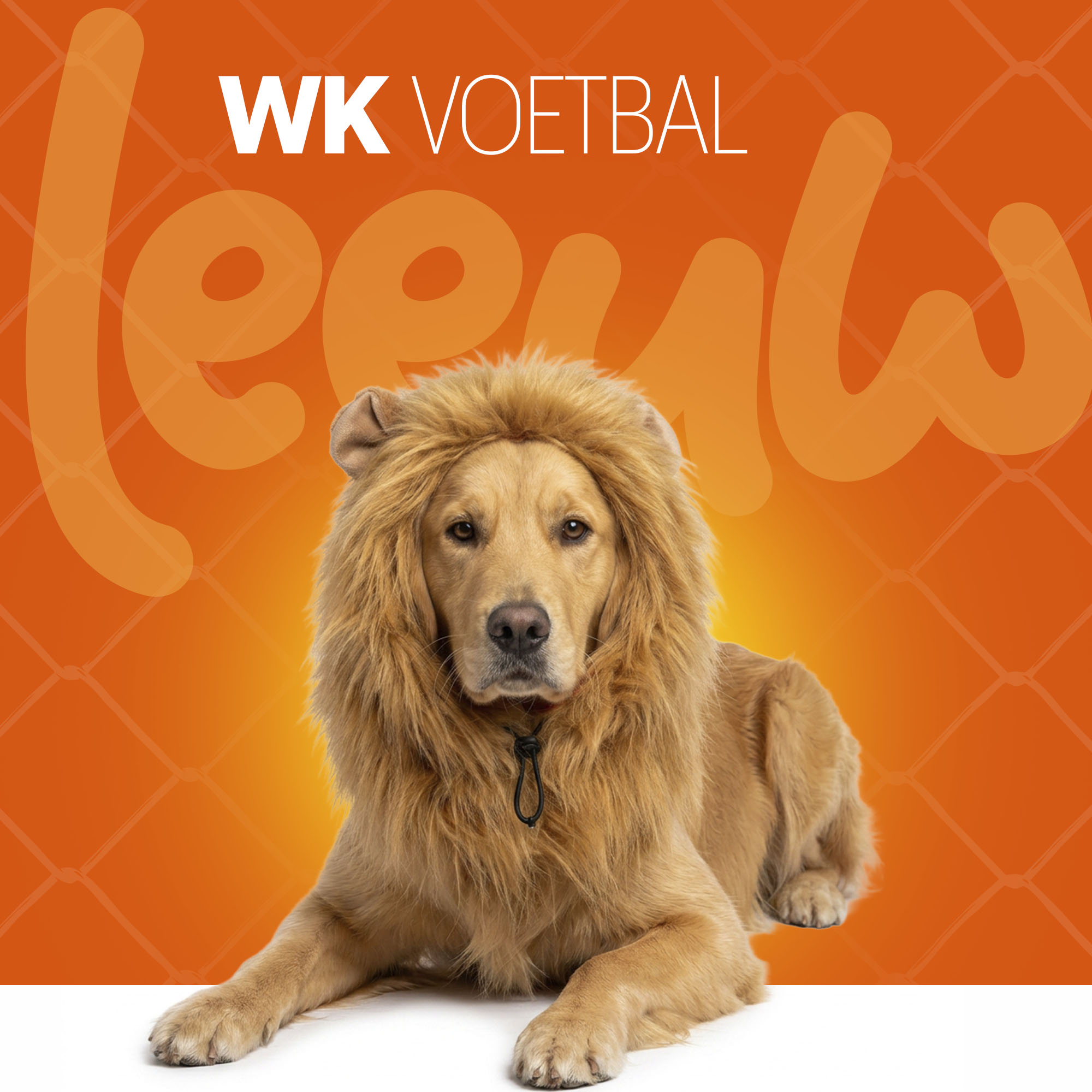 Oranje Manen Tooi L — afbeelding 2