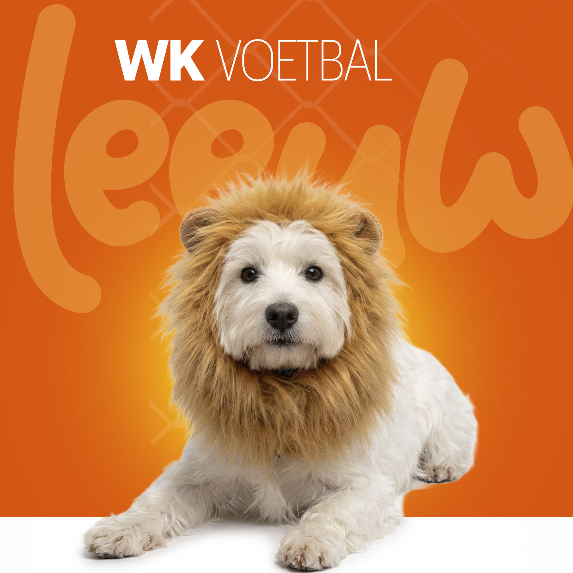 Oranje Manen Tooi M — afbeelding 2