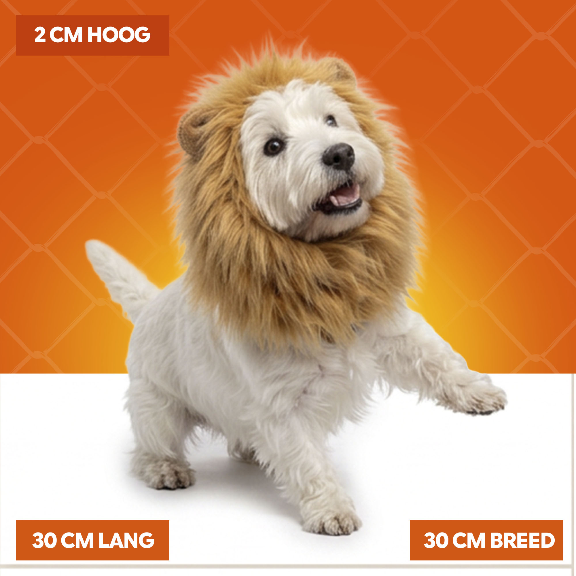 Oranje Manen Tooi M — afbeelding 5