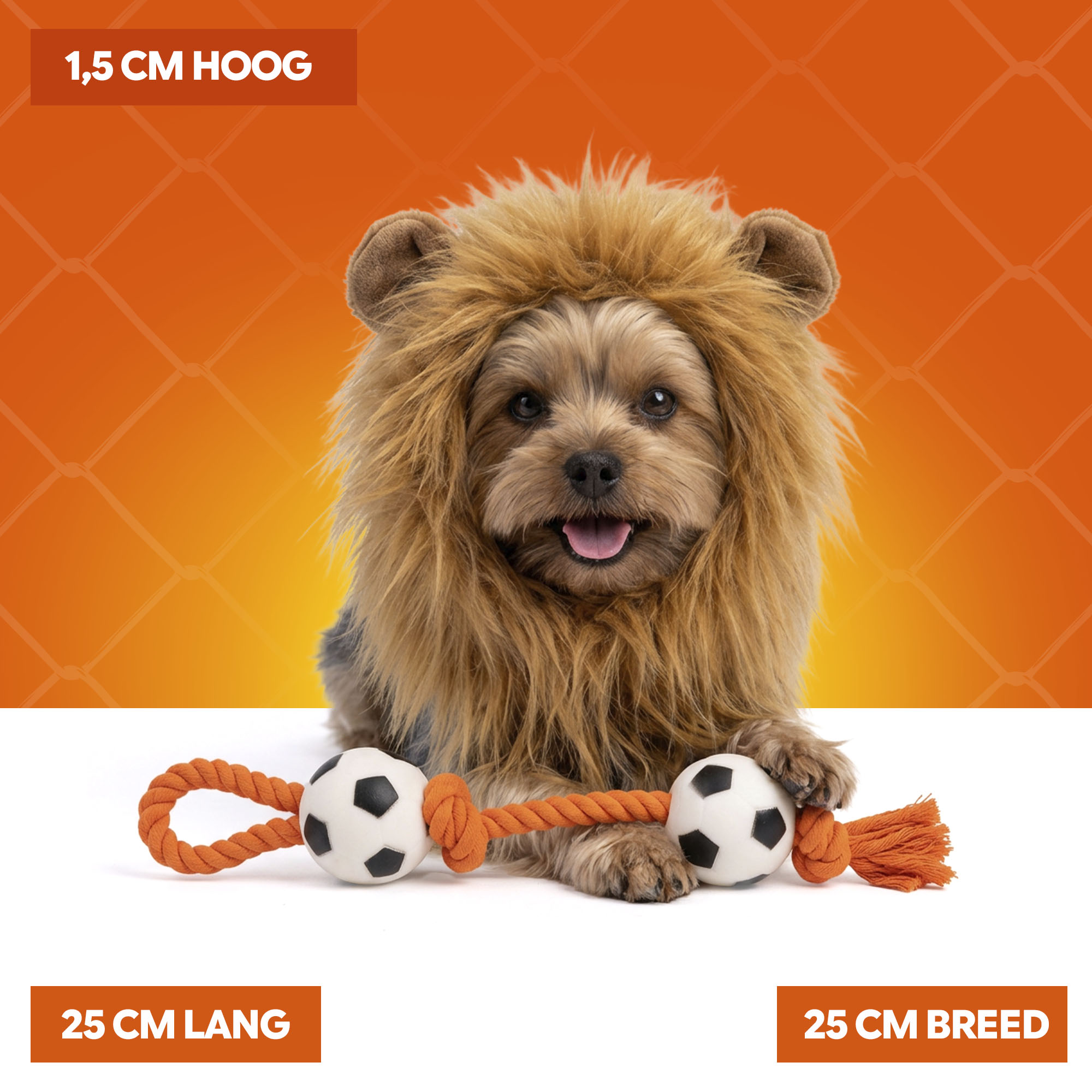 Oranje Manen Tooi S — afbeelding 5