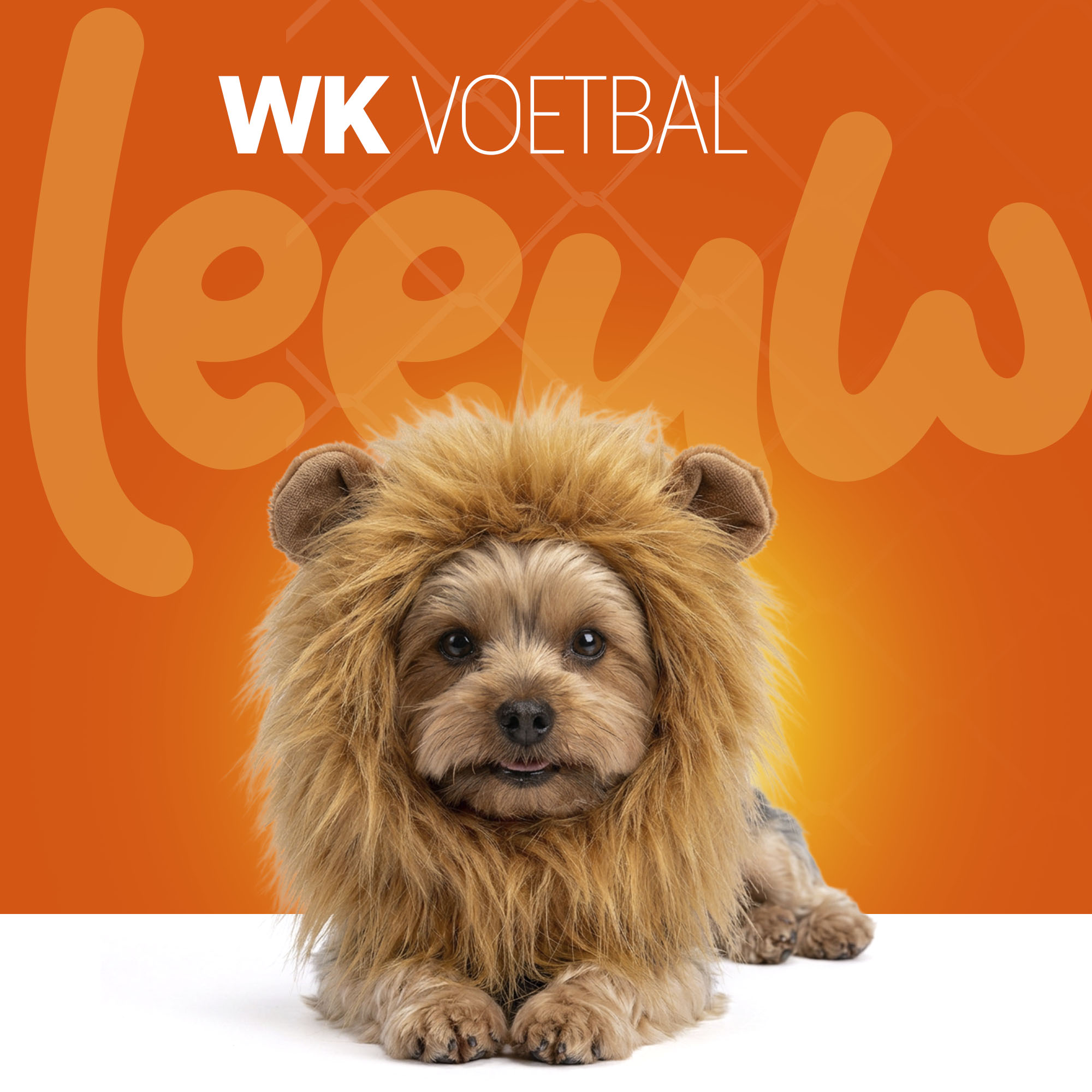 Oranje Manen Tooi S — afbeelding 2