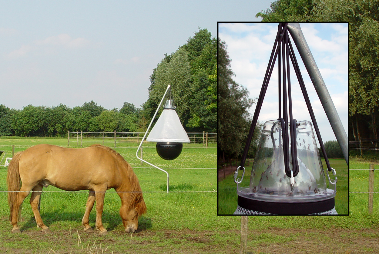 Loer Dazenval Compleet — afbeelding 3