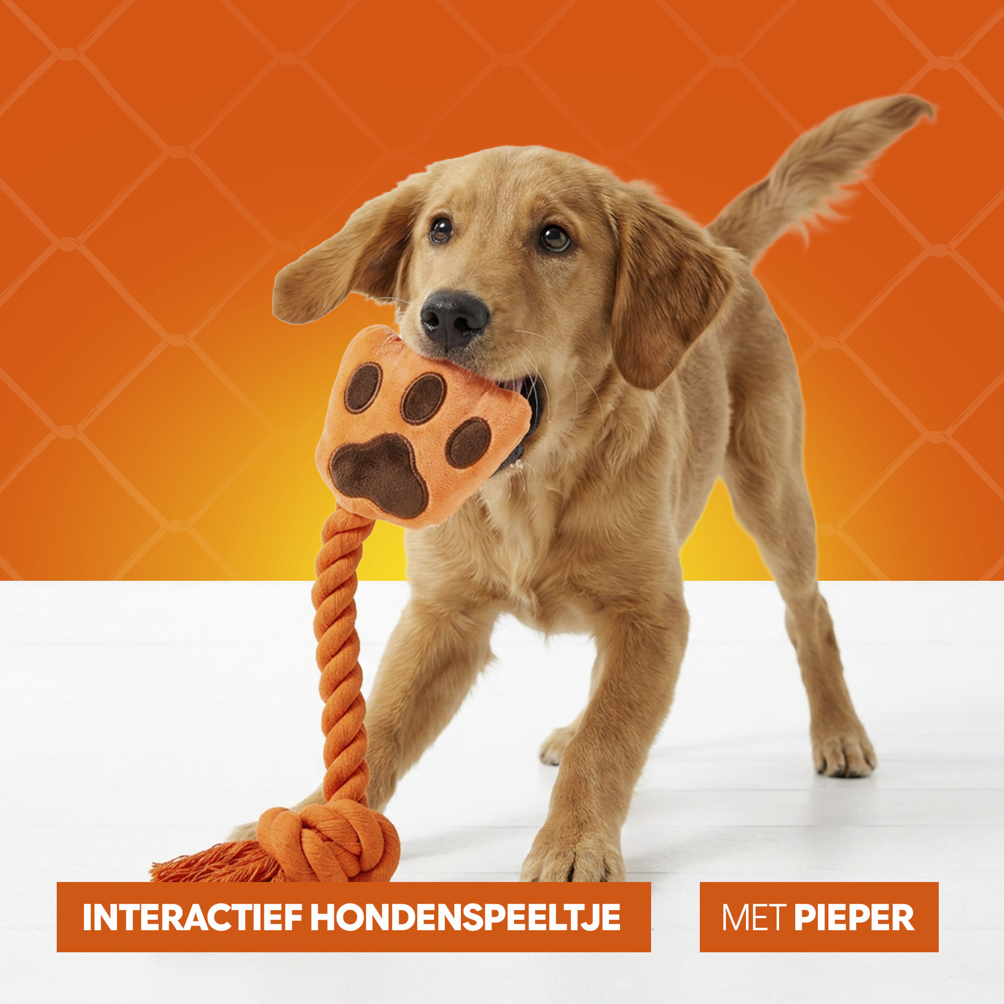 Oranje High Five — afbeelding 6