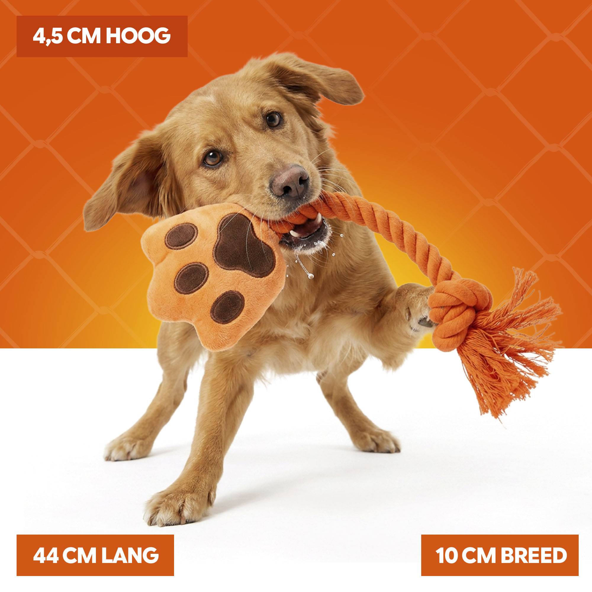 Oranje High Five — afbeelding 4