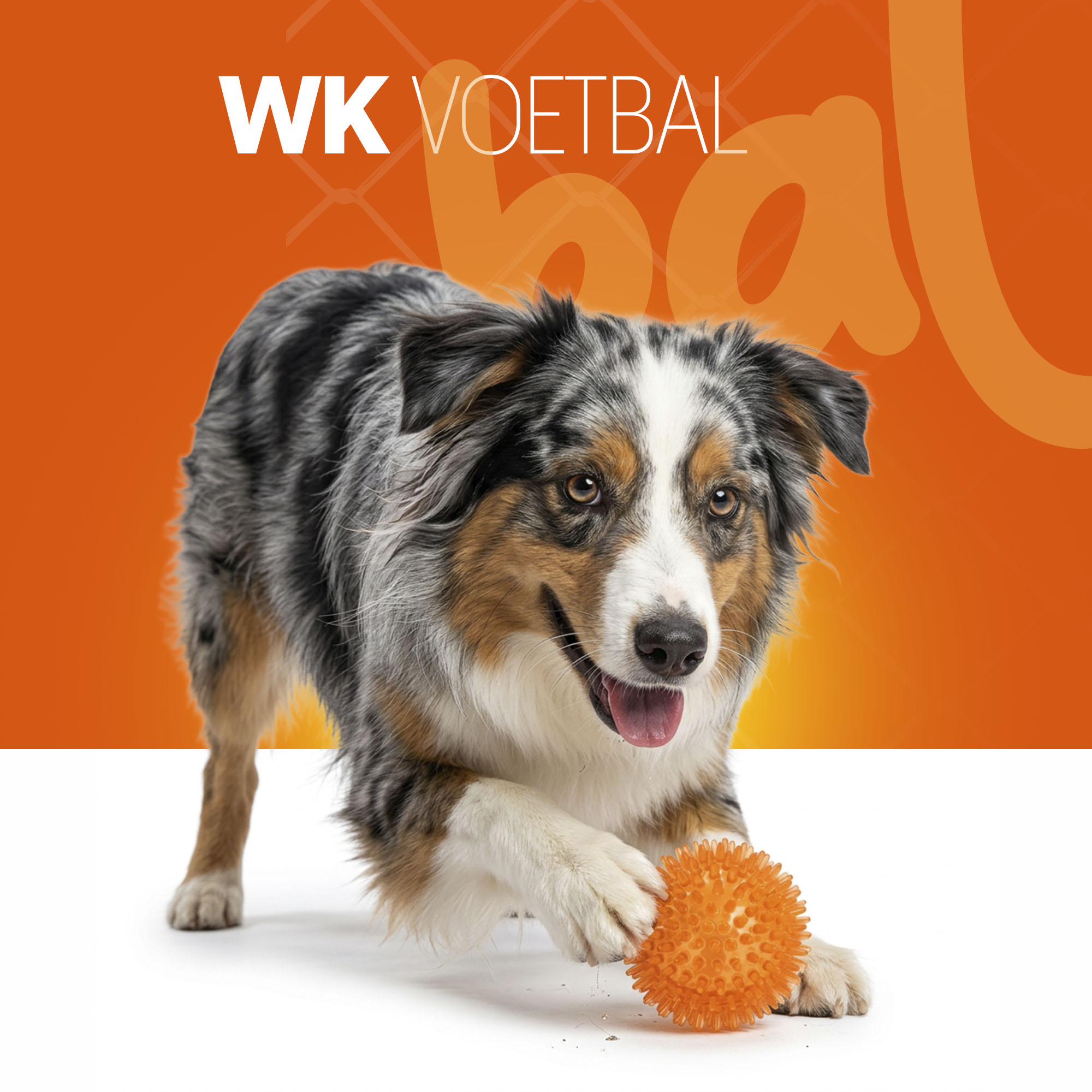 Oranje Egelbal M — afbeelding 2