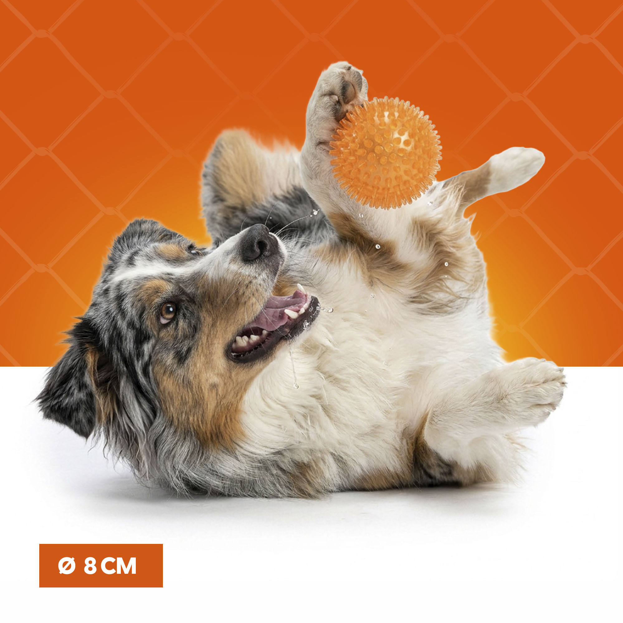 Oranje Egelbal M — afbeelding 4