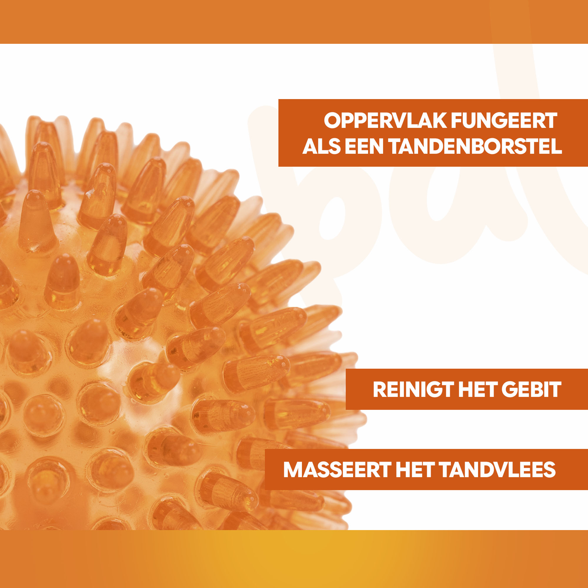 Oranje Egelbal M — afbeelding 3