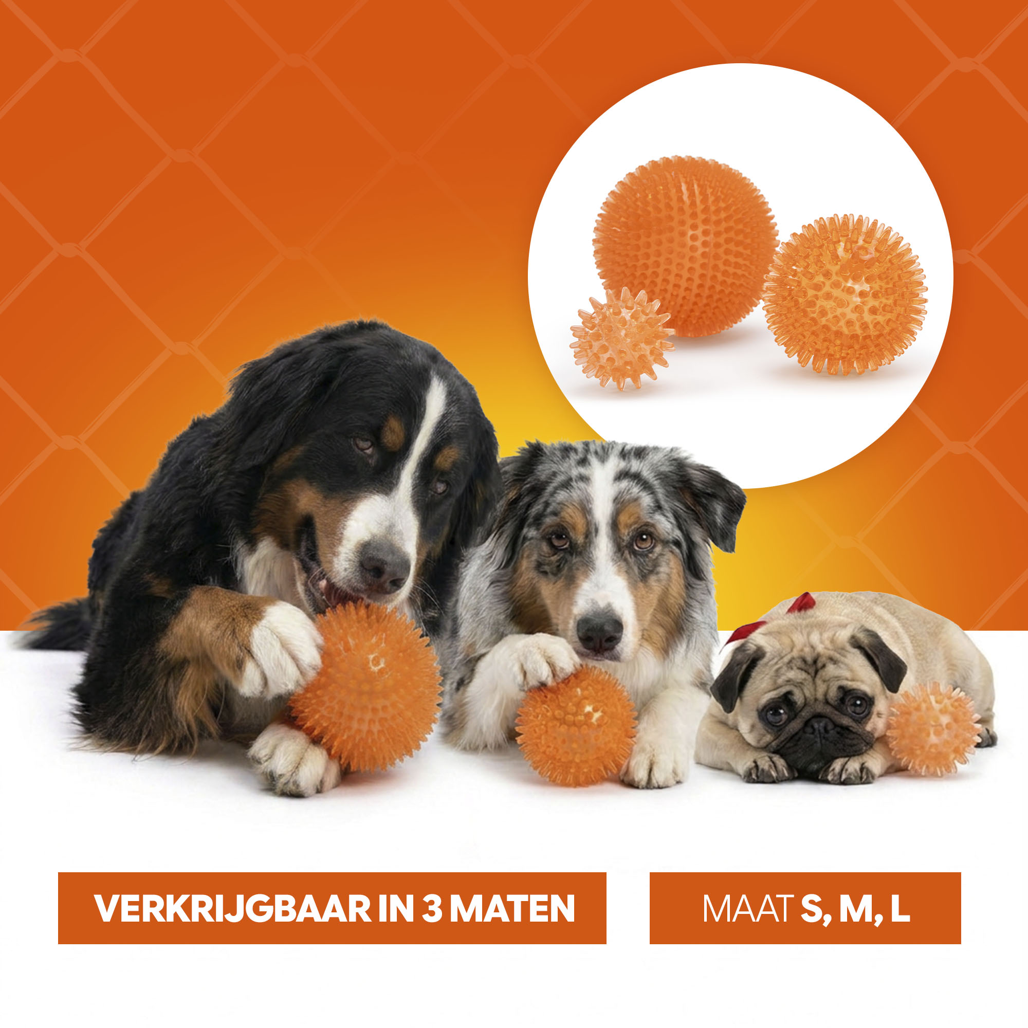 Oranje Egelbal M — afbeelding 6