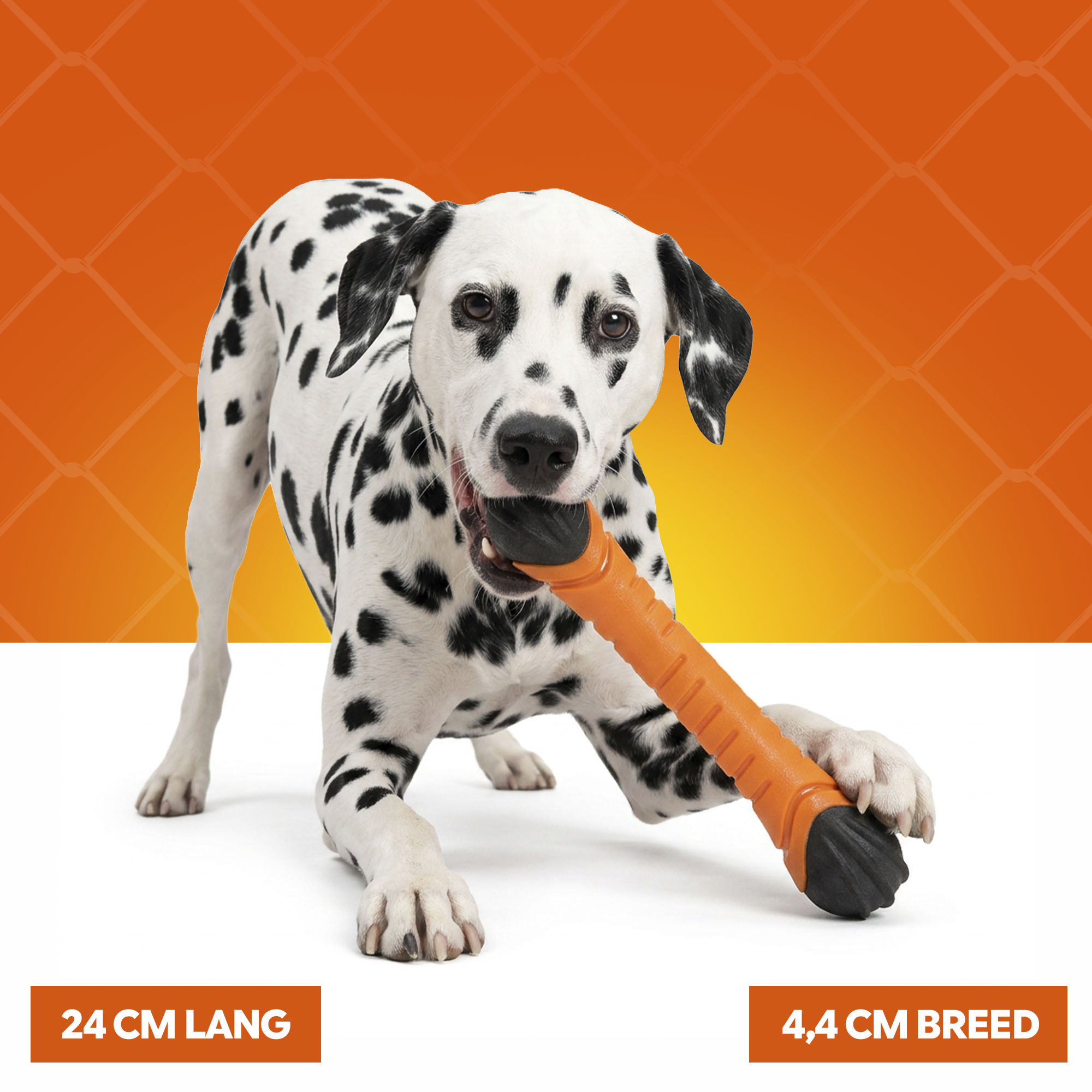 Oranje Apporteerstick S — afbeelding 4