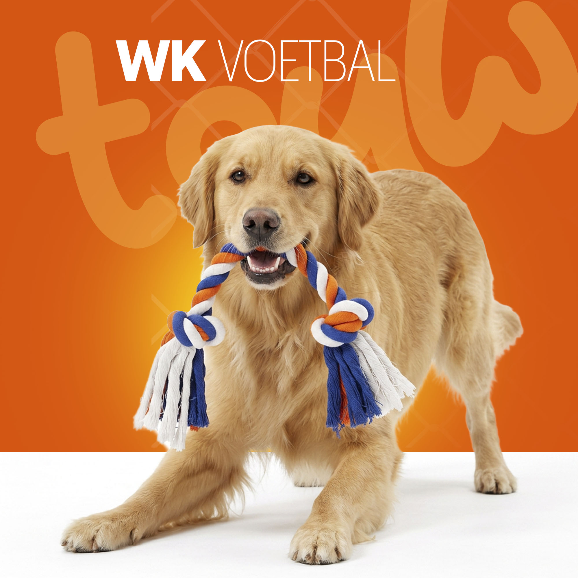 Oranje Flostouw Oranje, Wit en Blauw — afbeelding 2