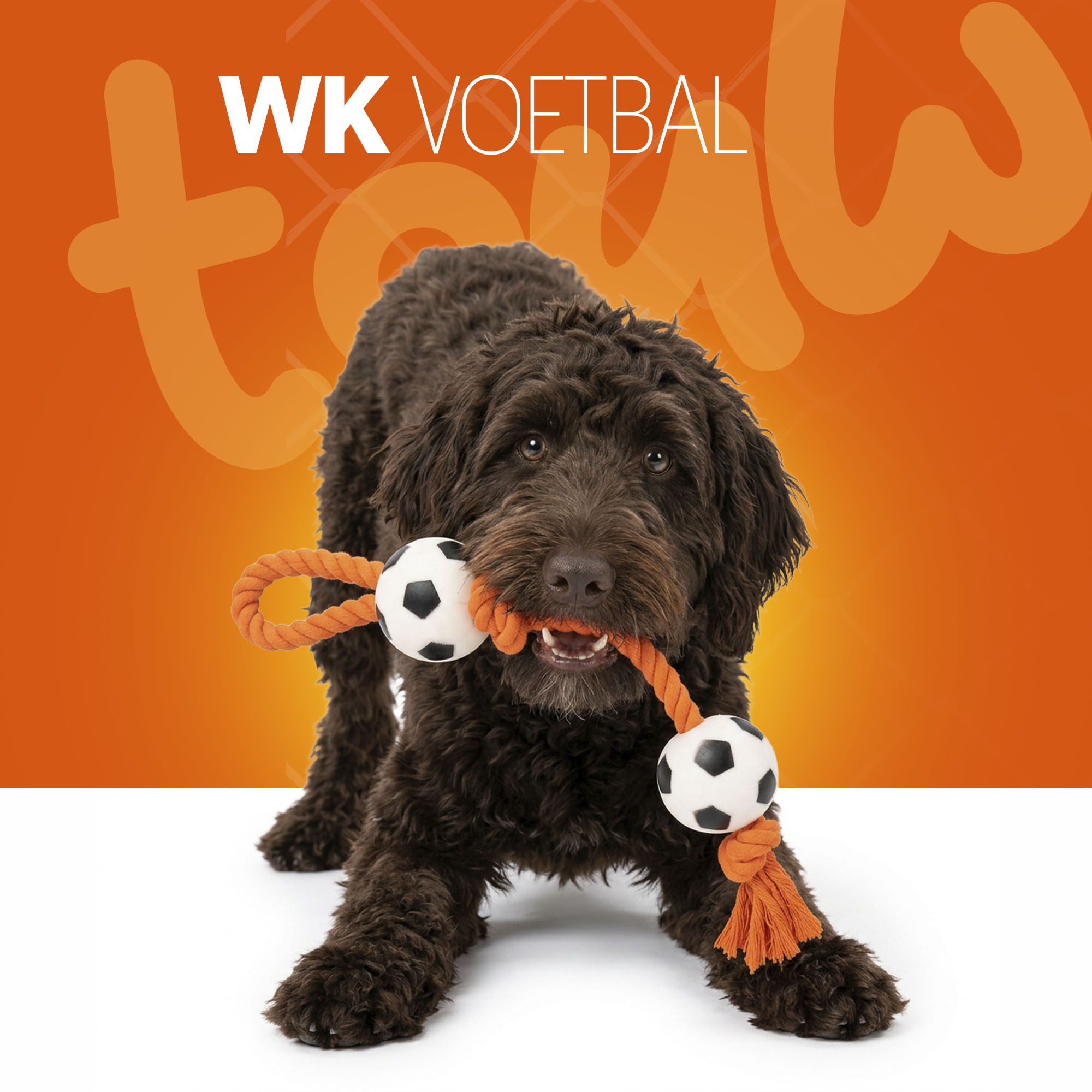 Oranje Flostouw Voetballen — afbeelding 2
