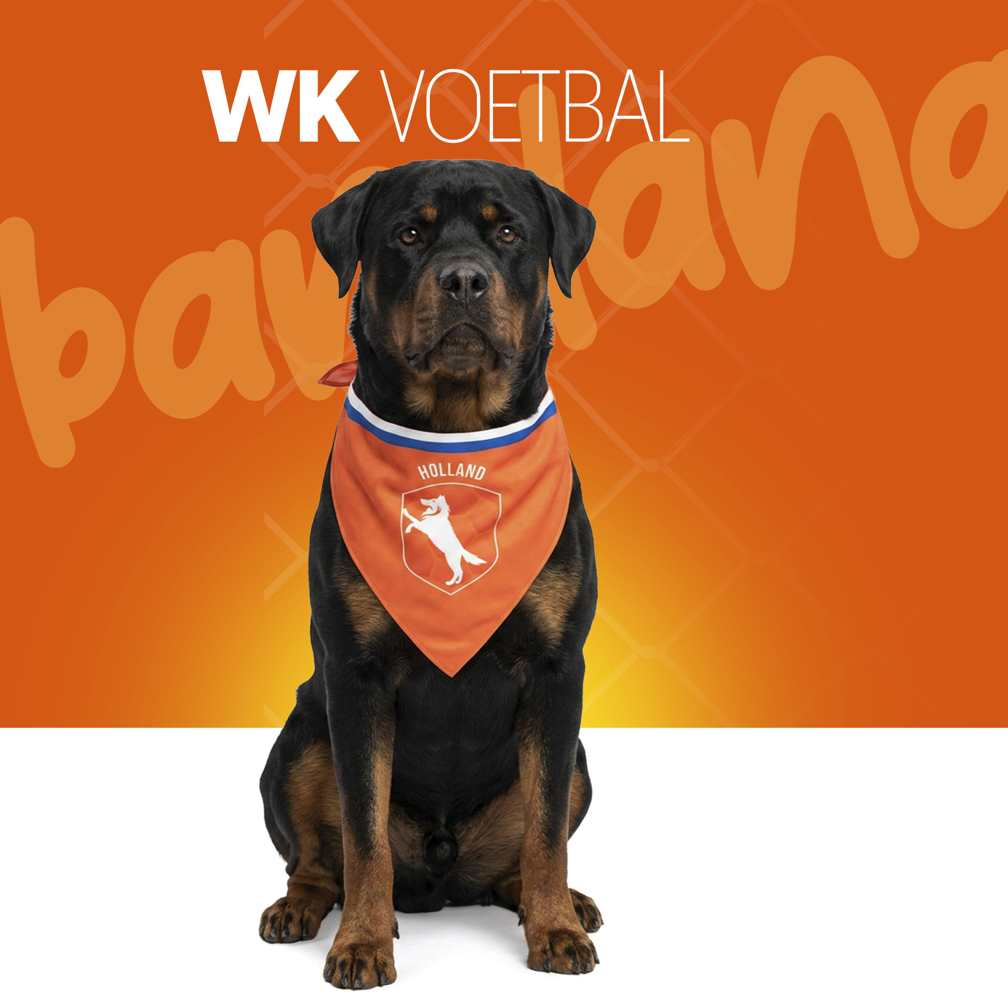 Oranje Bandana Holland L — afbeelding 2
