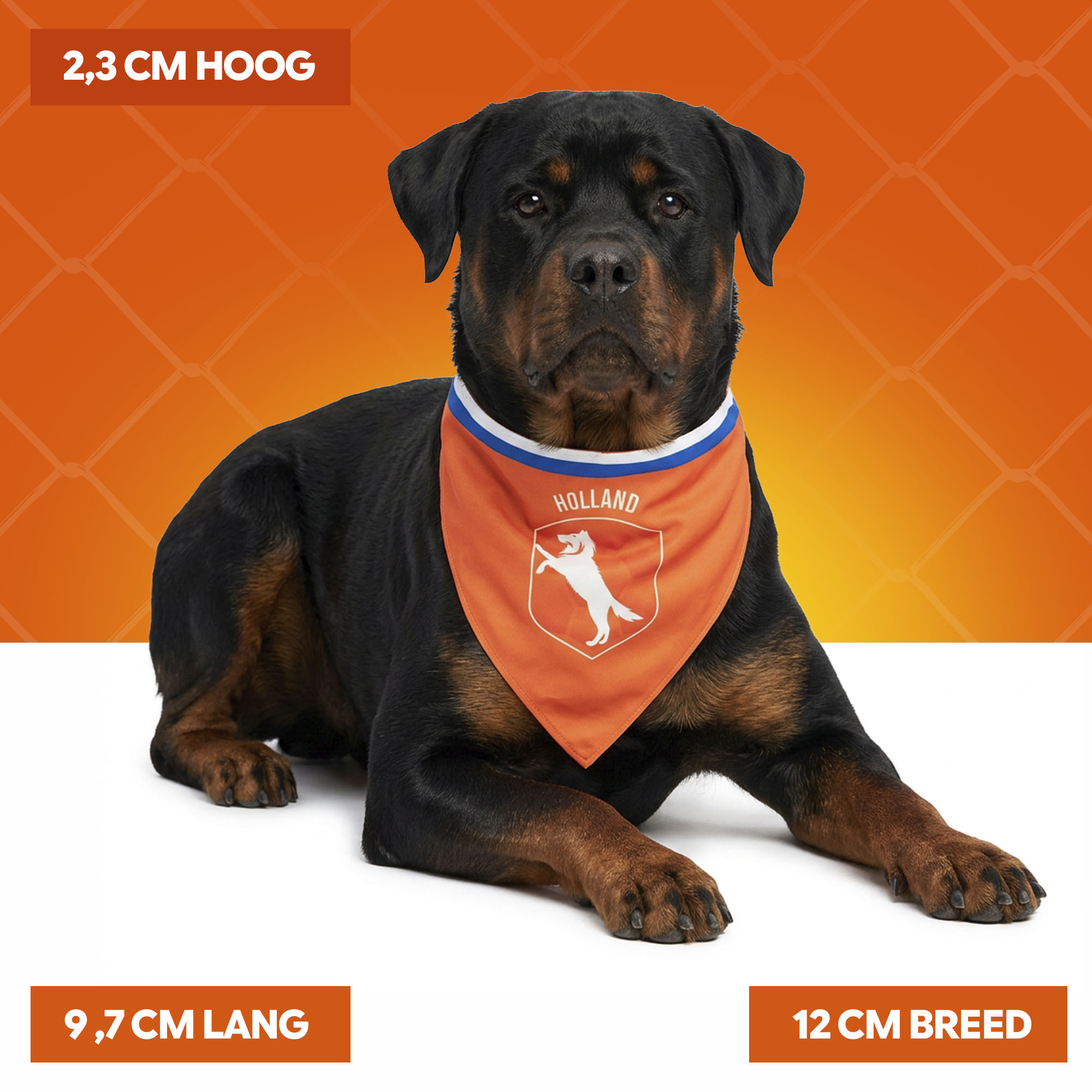 Oranje Bandana Holland L — afbeelding 4