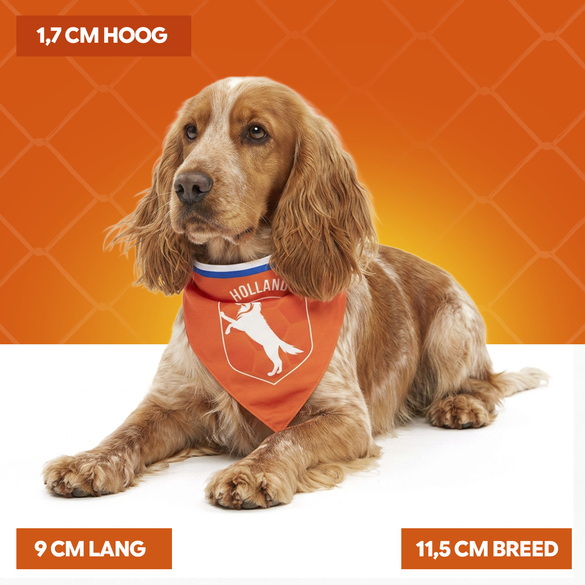 Oranje Bandana Holland M — afbeelding 4