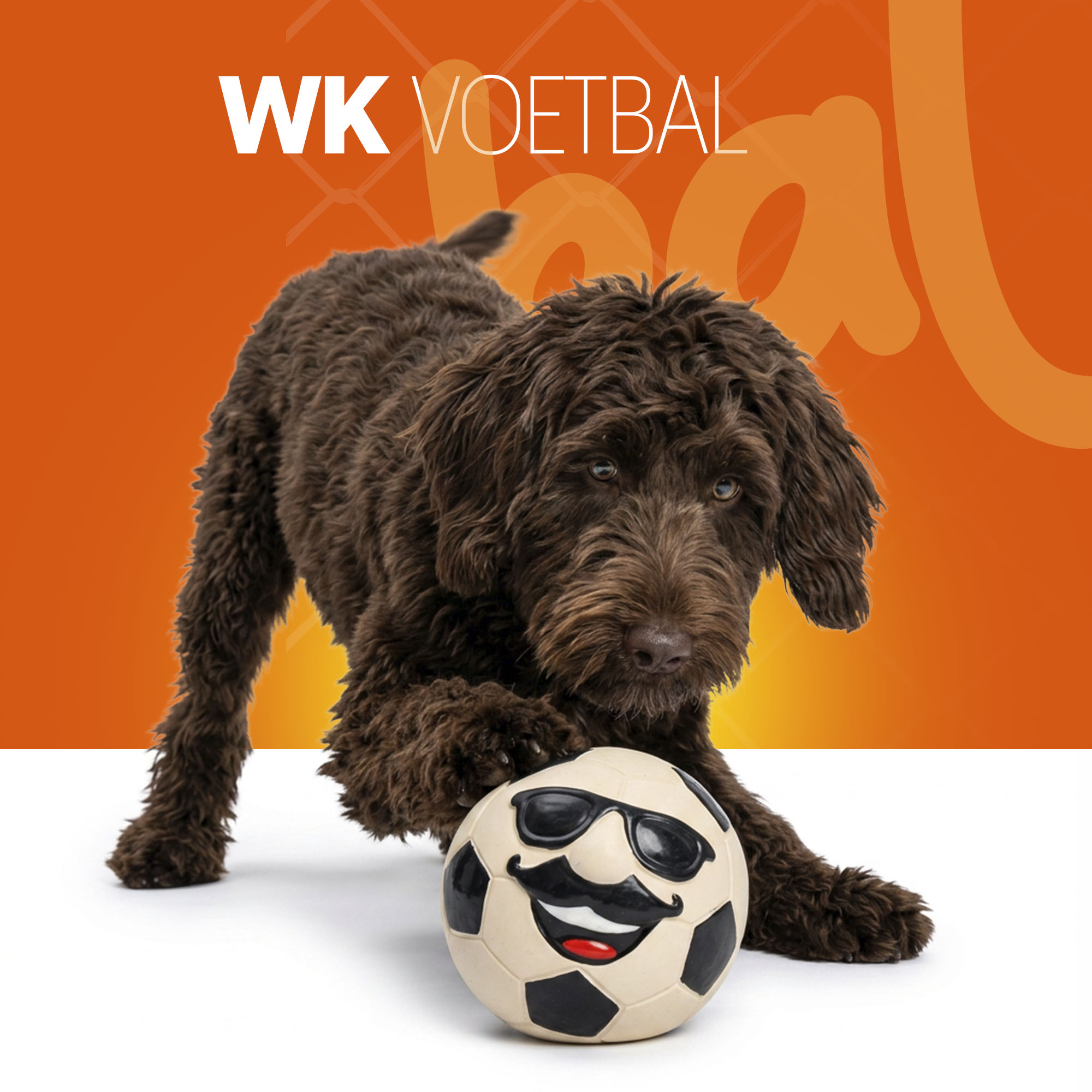 Oranje Mr WK Soccer L — afbeelding 2