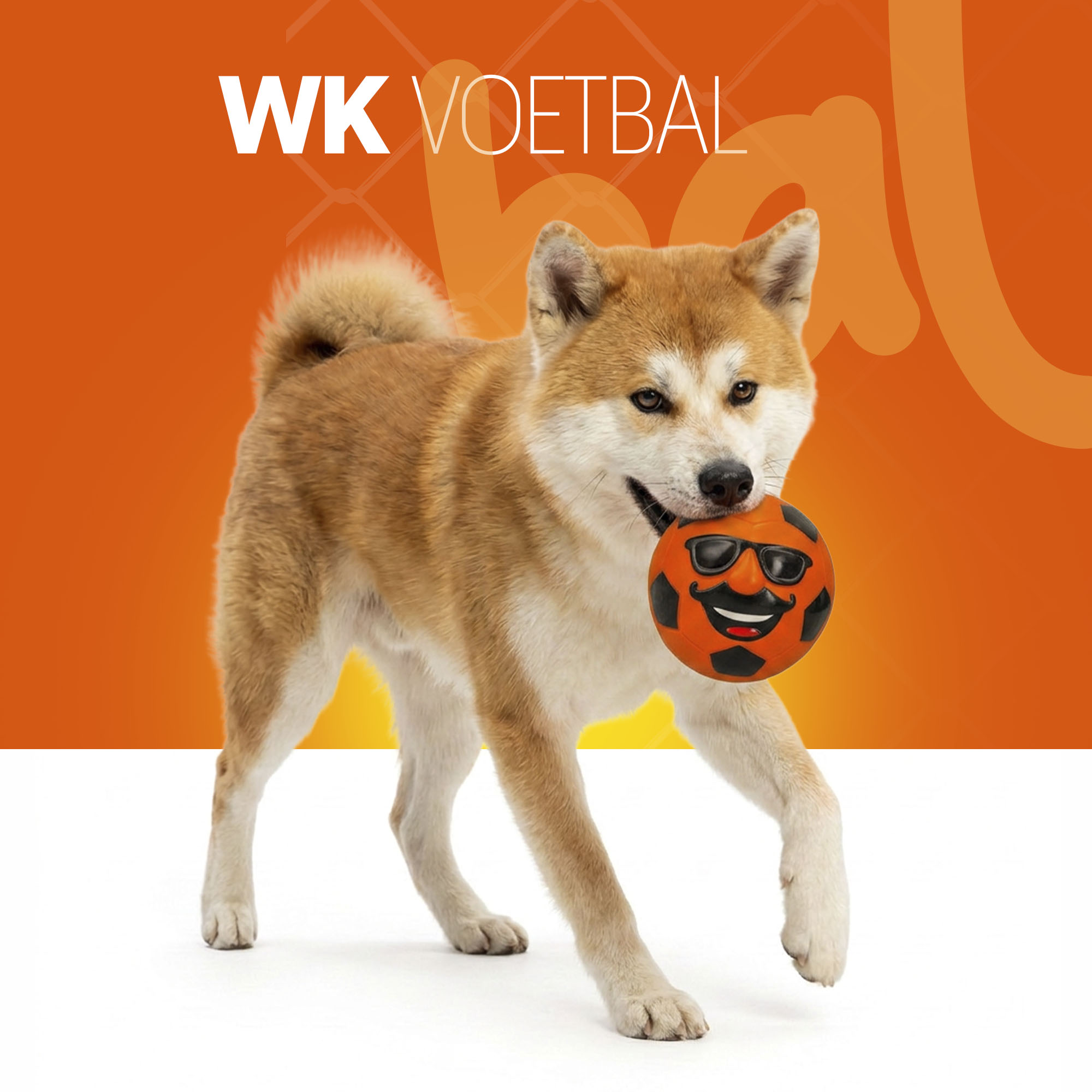 Oranje Mr. Dutch L — afbeelding 2