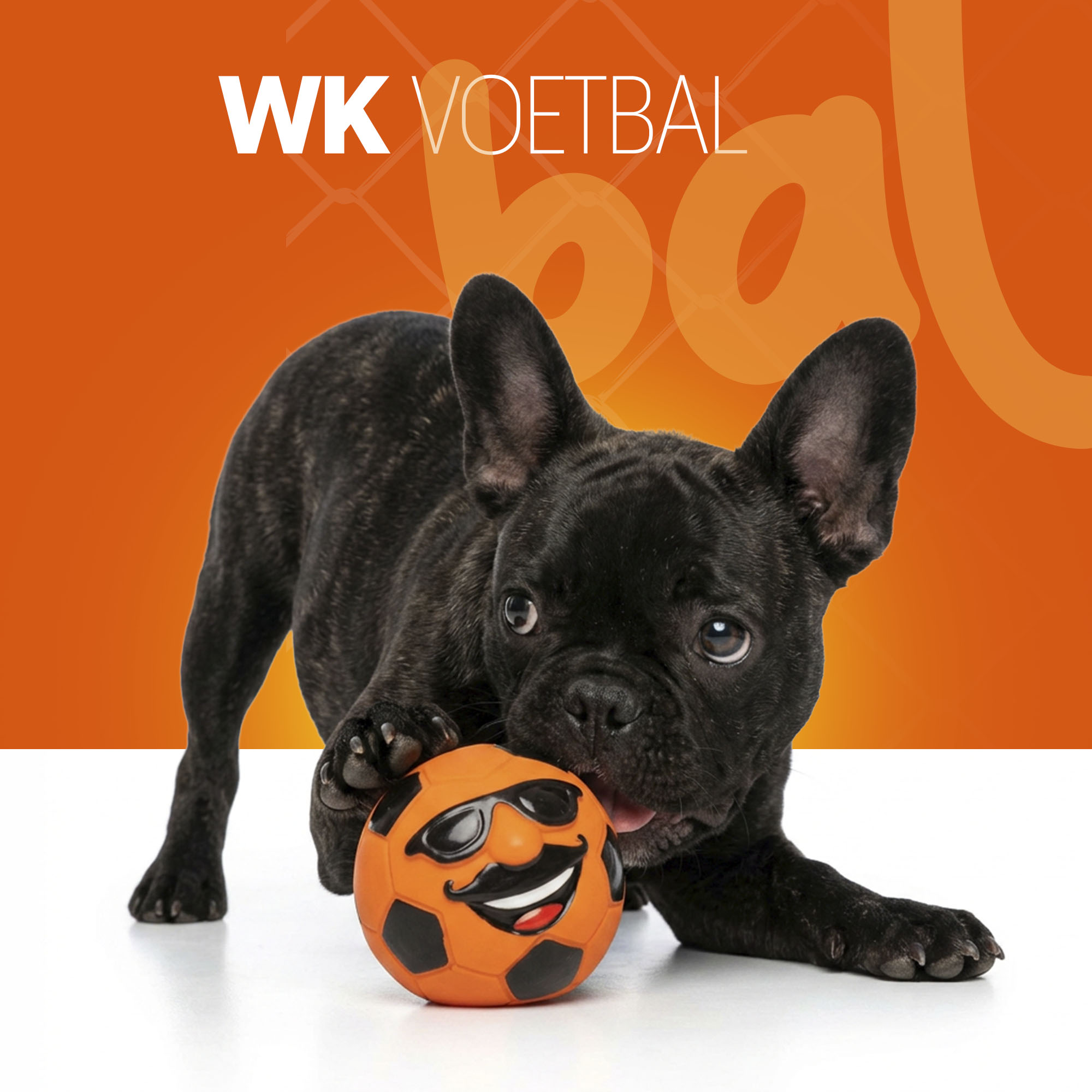 Oranje Mr. Dutch M — afbeelding 2