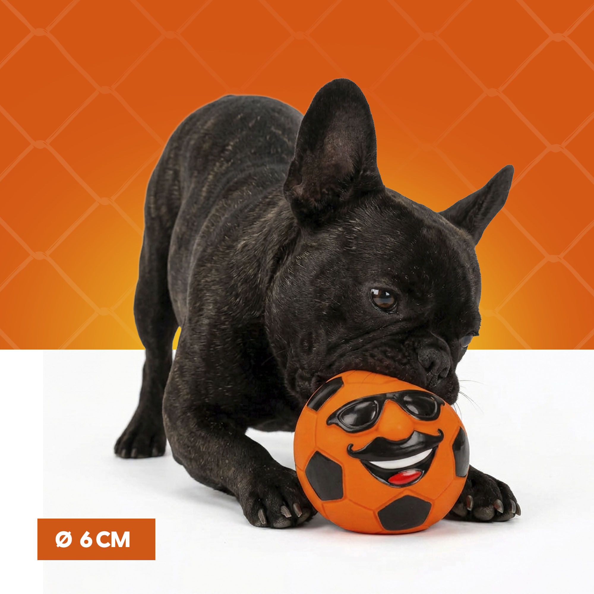Oranje Mr. Dutch M — afbeelding 4