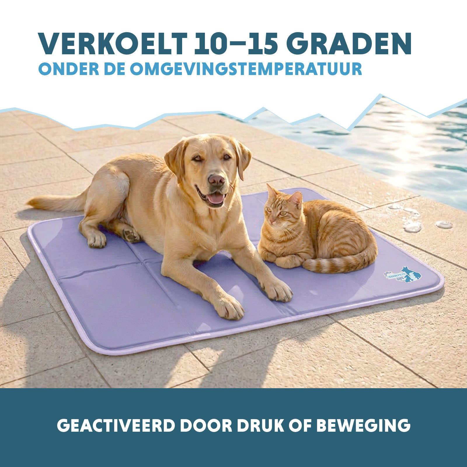 Coolpets Gel Cooling Mat Lila L — afbeelding 4