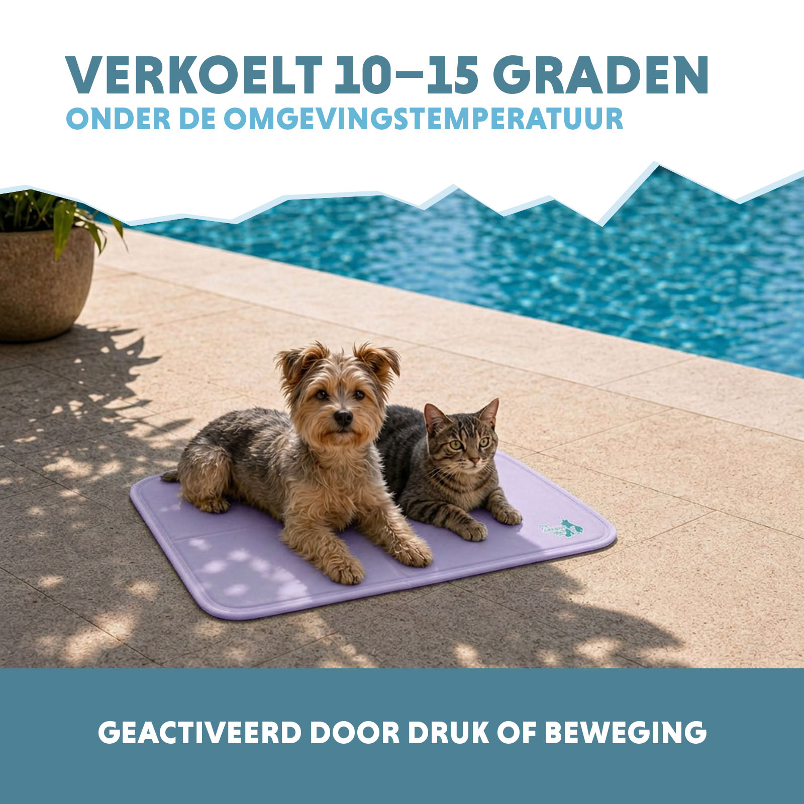 Coolpets Gel Cooling Mat Lila S — afbeelding 4