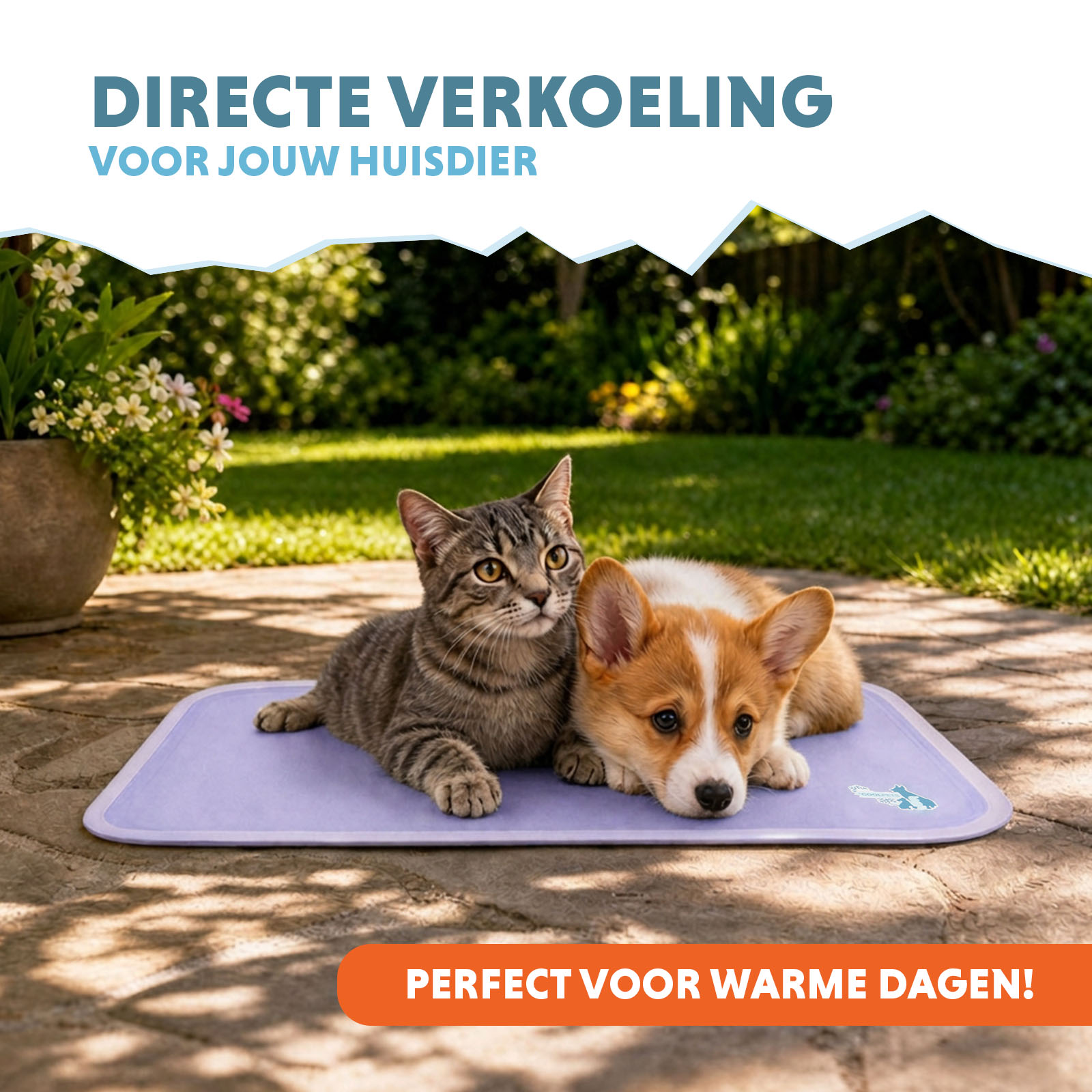 Coolpets Gel Cooling Mat Lila S — afbeelding 2