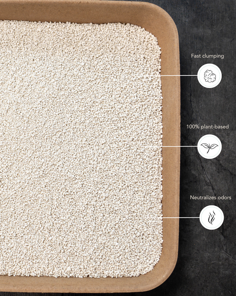 Petlux Cassave Tofu Kattenbakvulling 3,5 kg — afbeelding 4