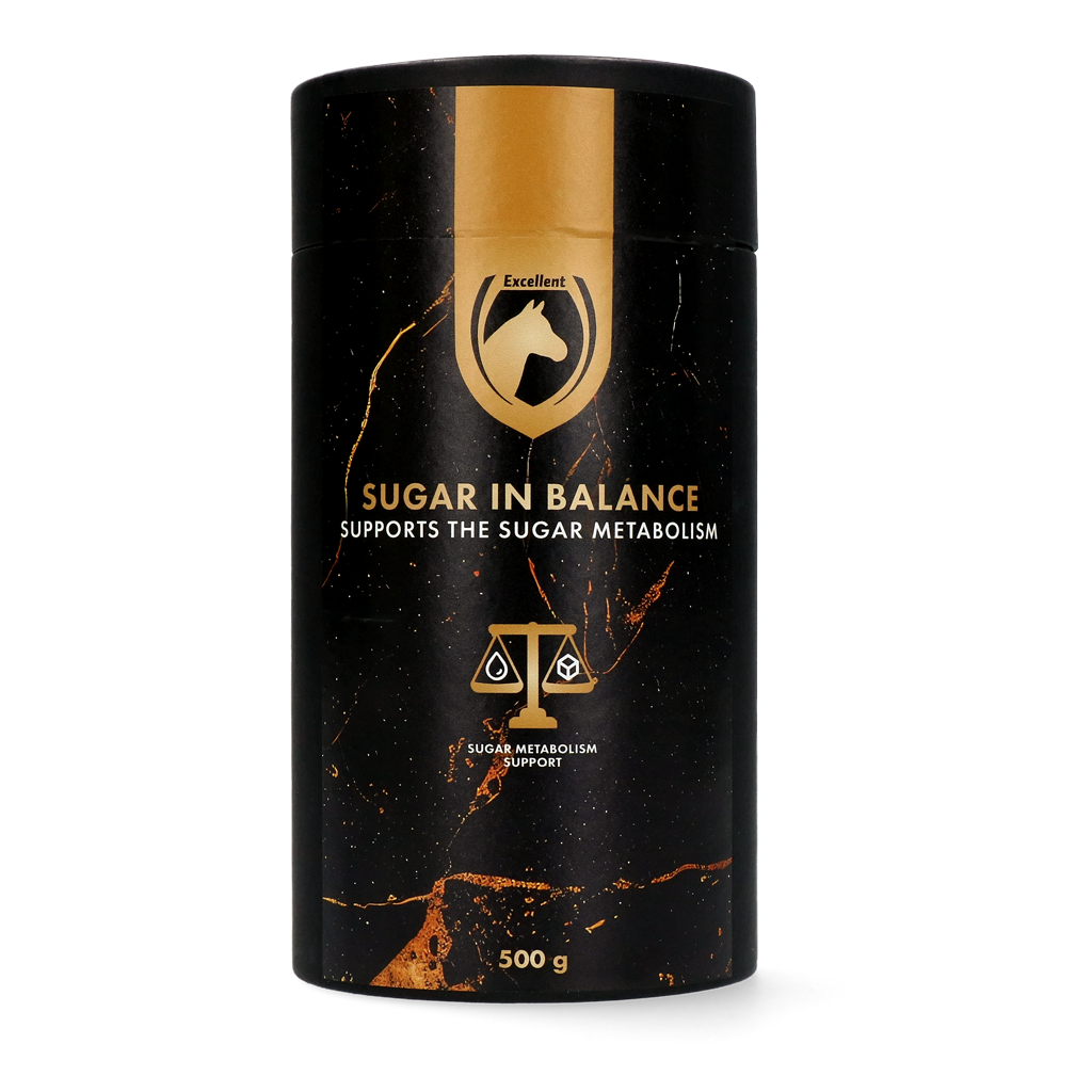 Excellent Horse Sugar in Balance
