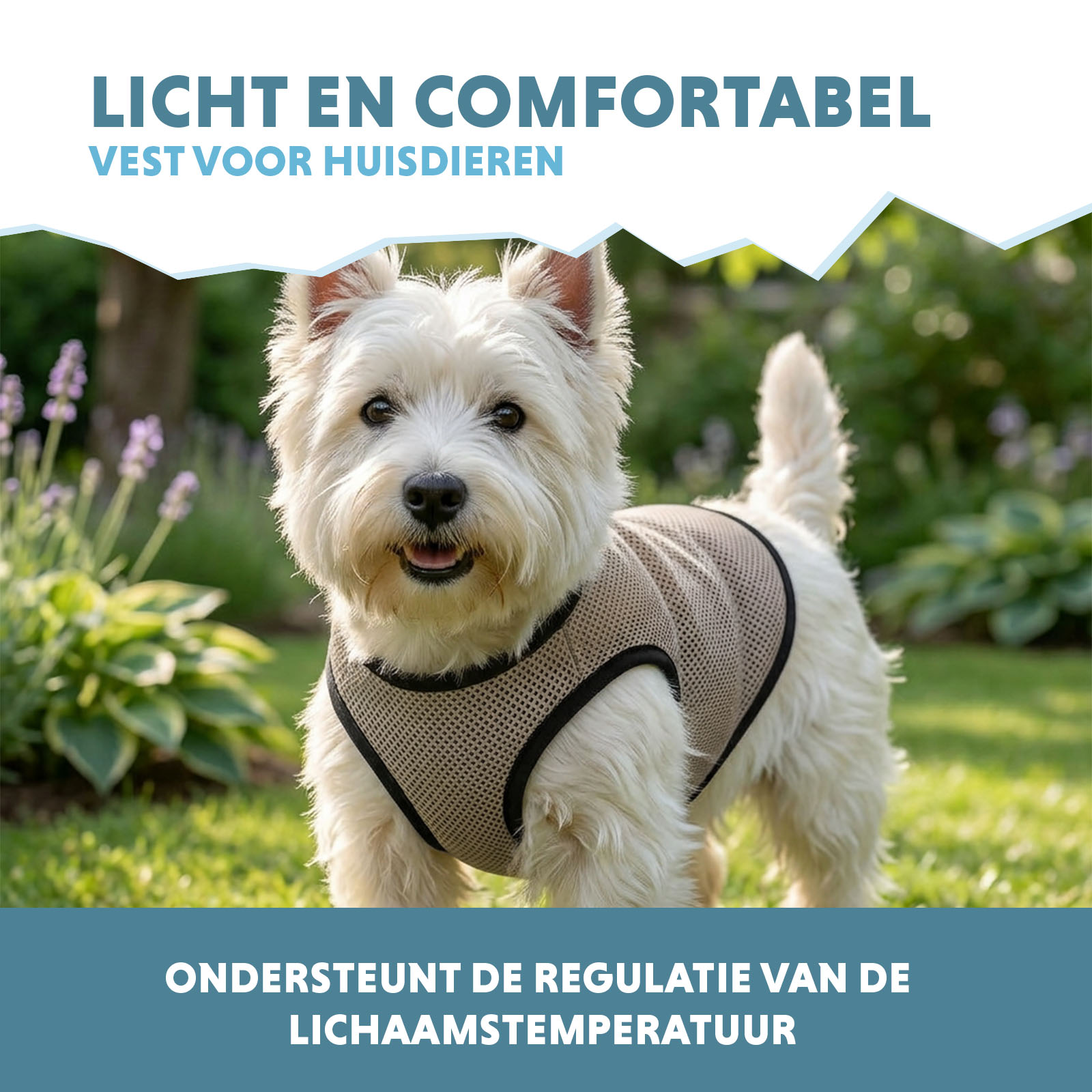 Coolpets Cooling Vest S (back size 25 cm) — afbeelding 4