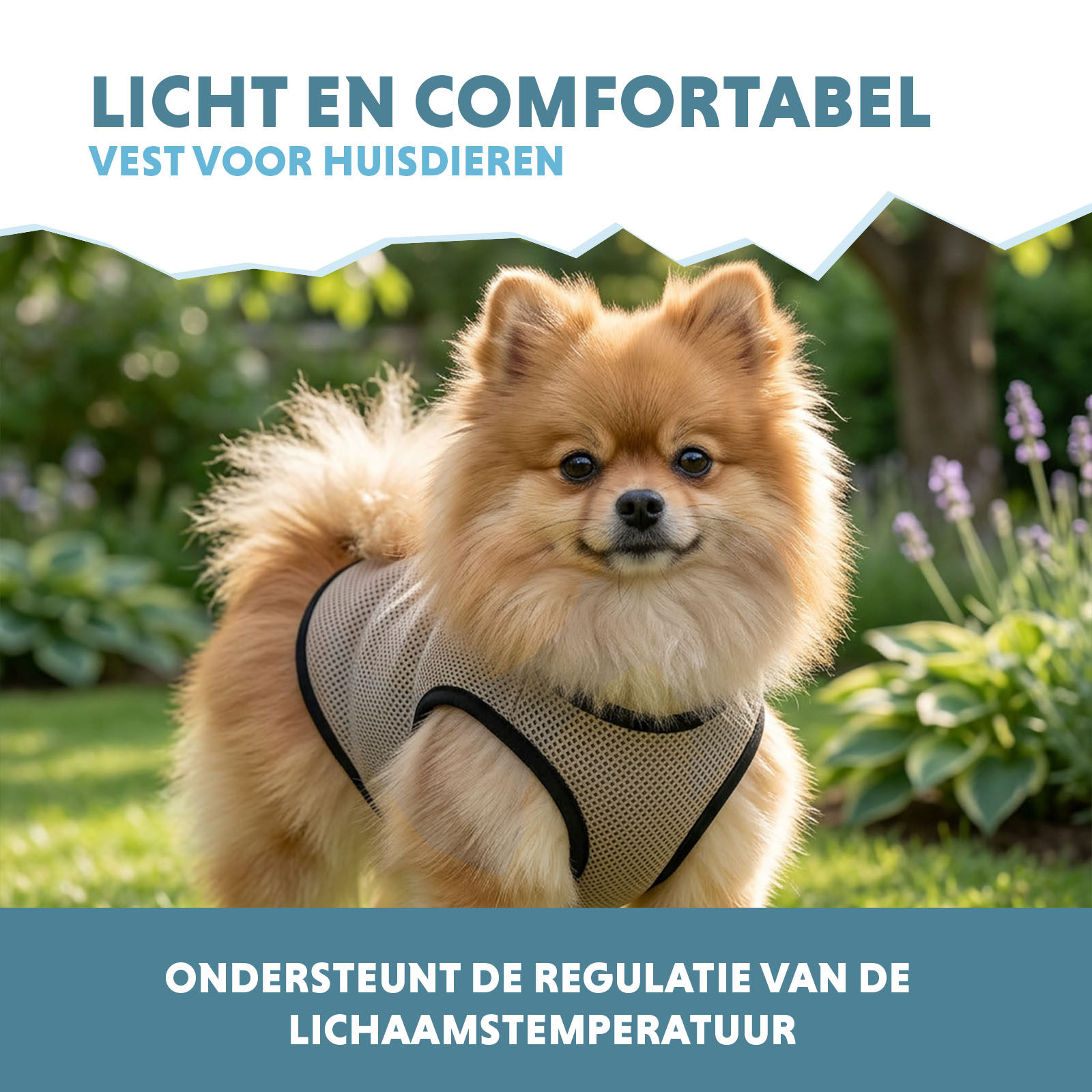Coolpets Cooling Vest XS (back size 20 cm) — afbeelding 4