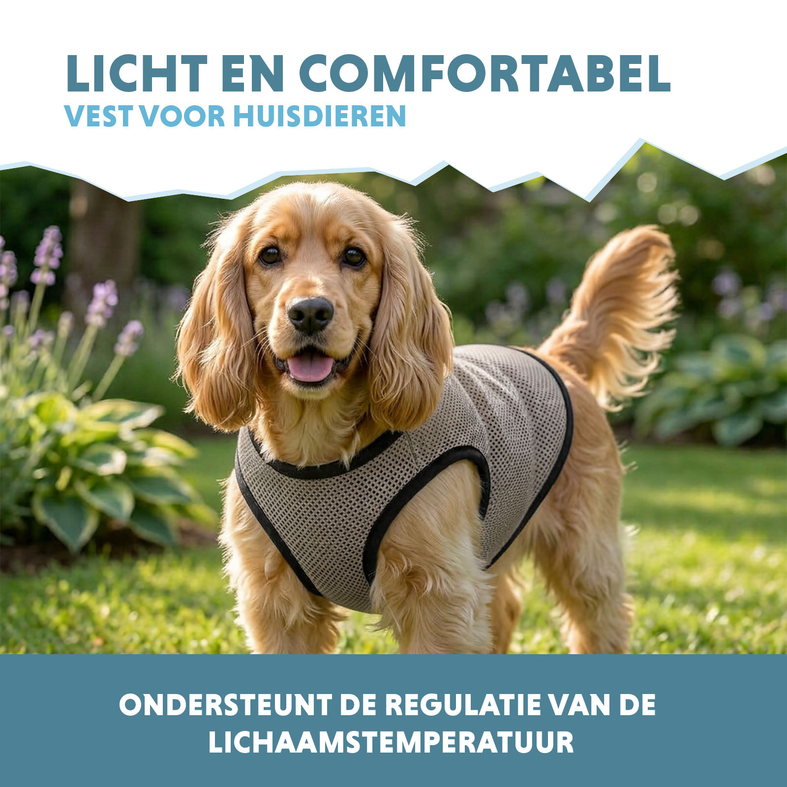 Coolpets Cooling Vest M (back size 30 cm) — afbeelding 4