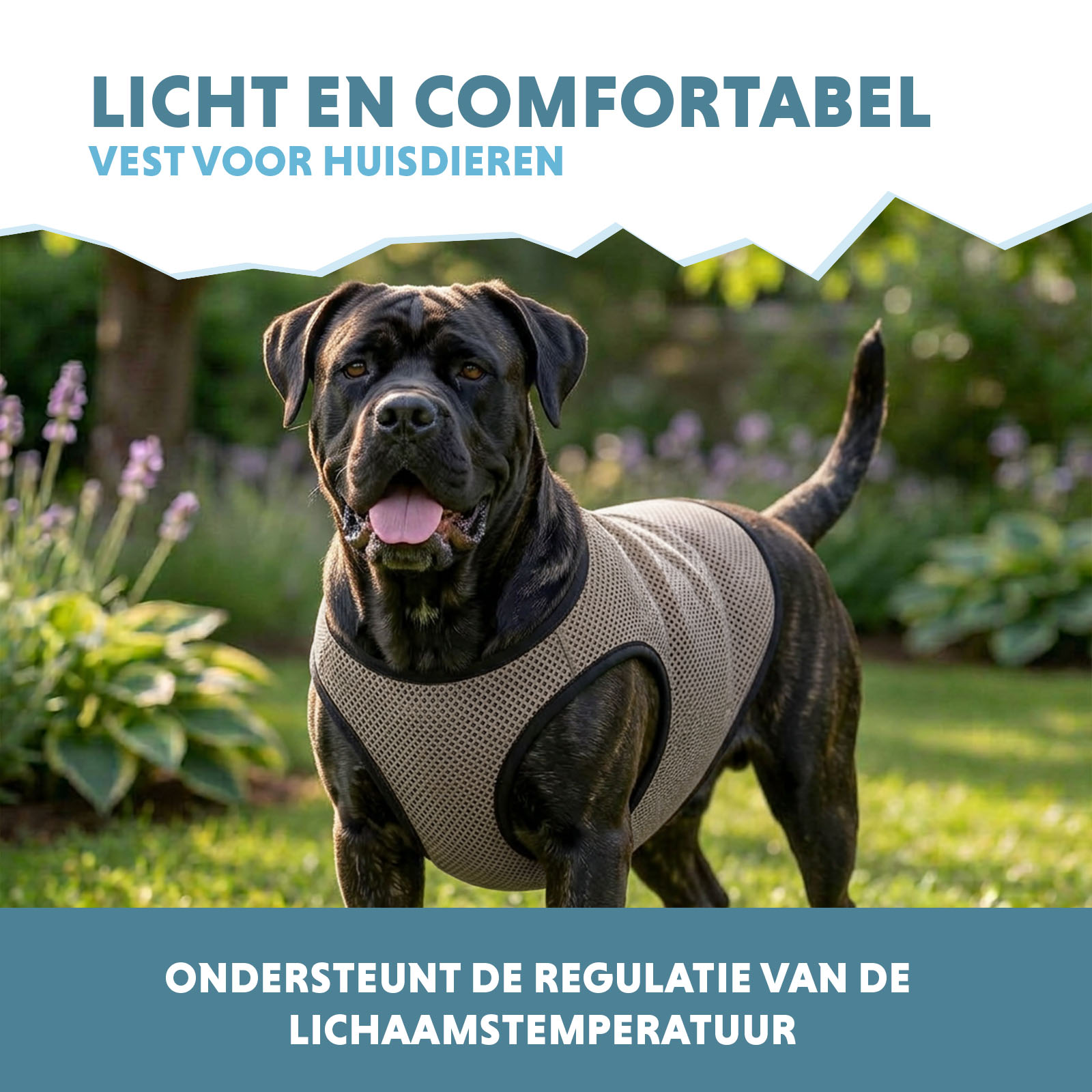 Coolpets Cooling Vest XL (back size 40 cm) — afbeelding 4