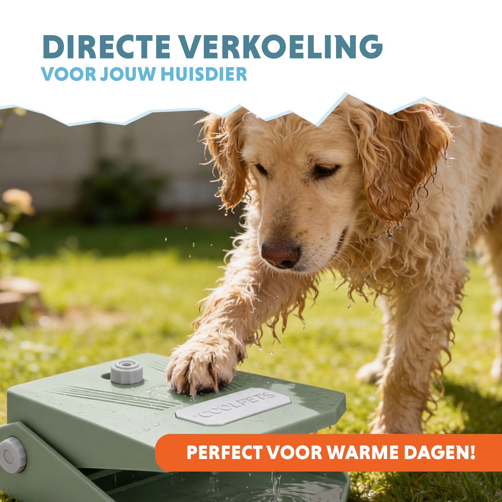 Coolpets Splash Water Fountain Olijfgroen — afbeelding 2