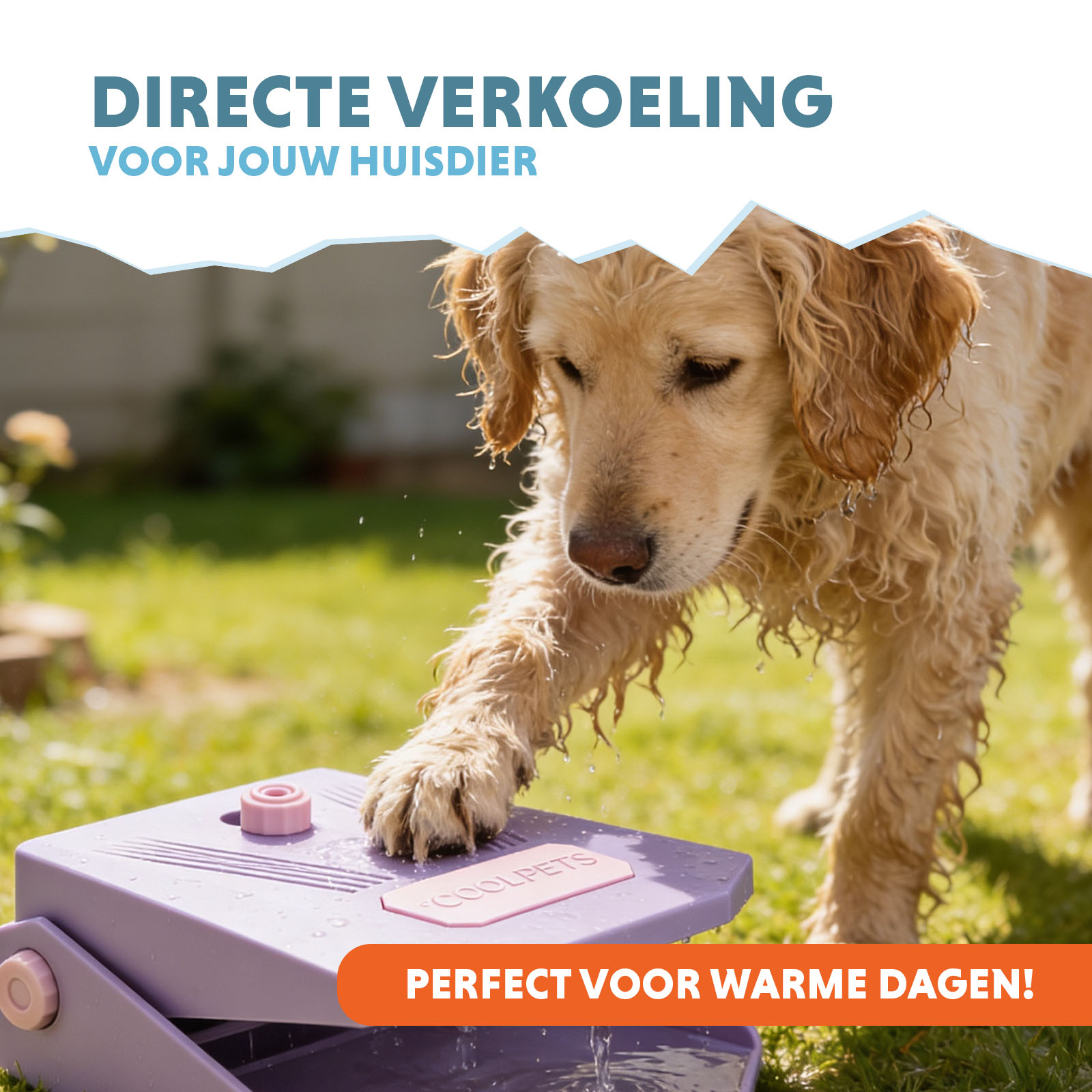 Coolpets Splash Water Fountain Lila — afbeelding 2