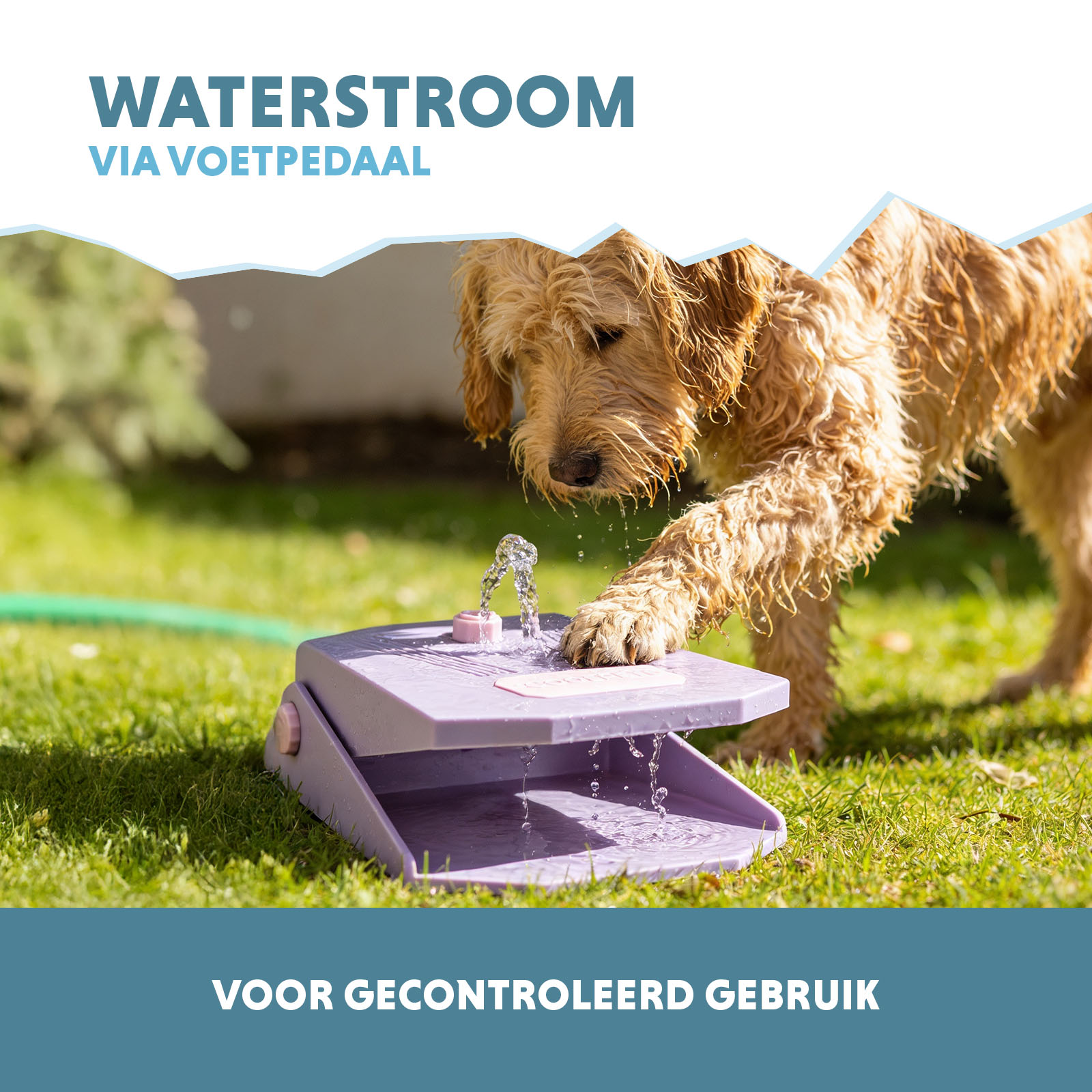 Coolpets Splash Water Fountain Lila — afbeelding 4