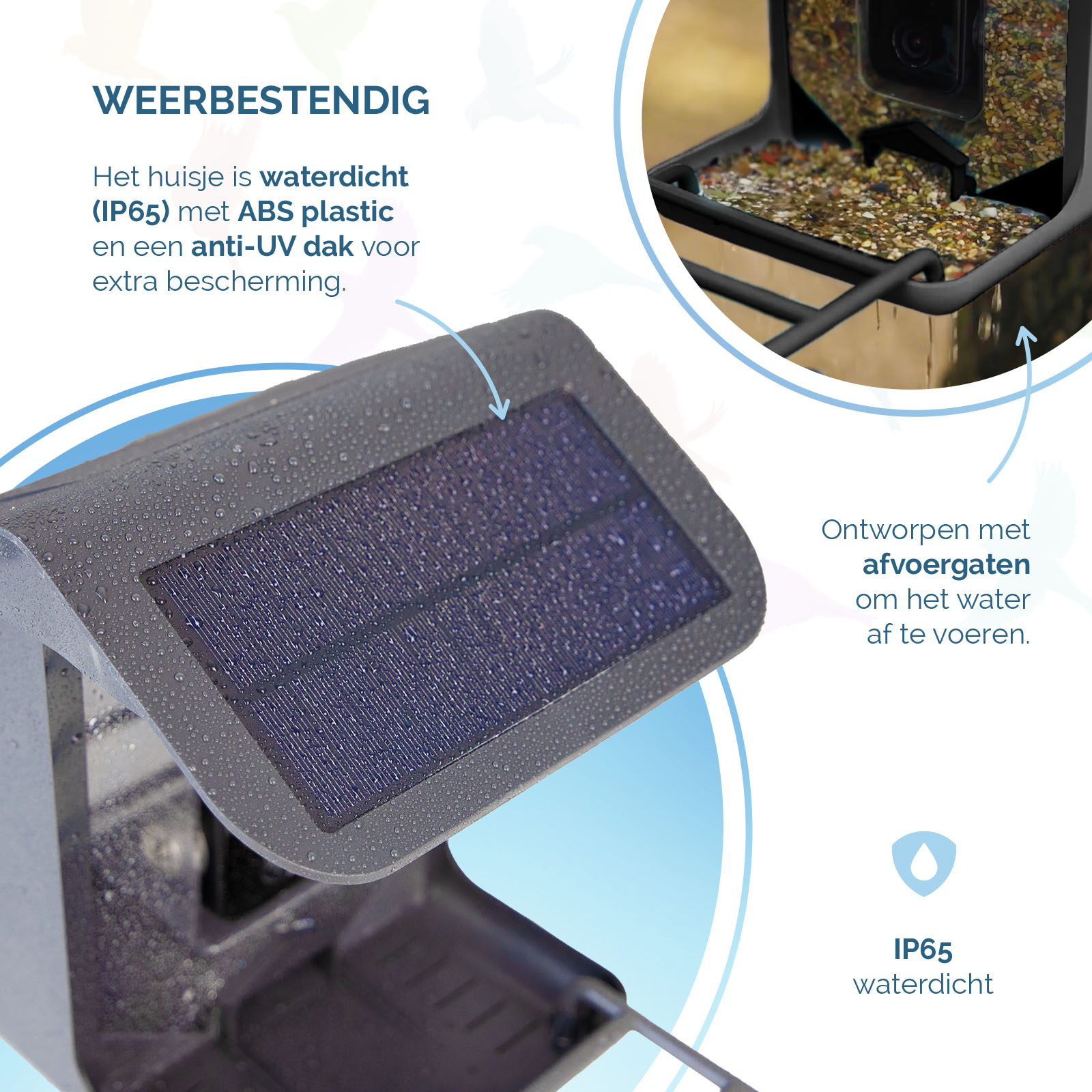 AI Bird Feeder met Camera — afbeelding 5