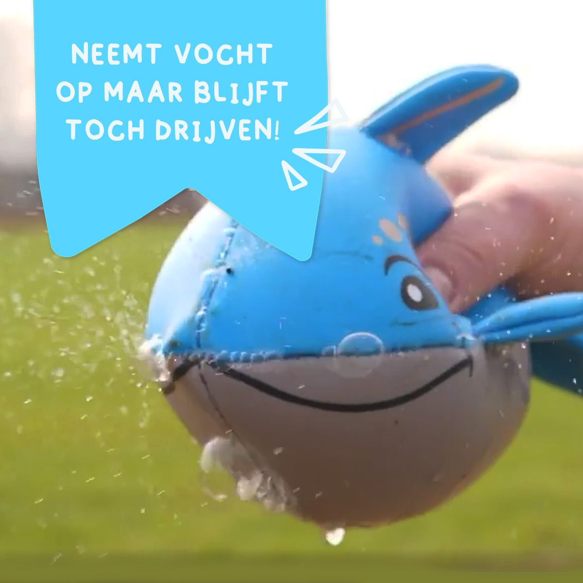 CoolPets Toy Wally the Whale — afbeelding 6