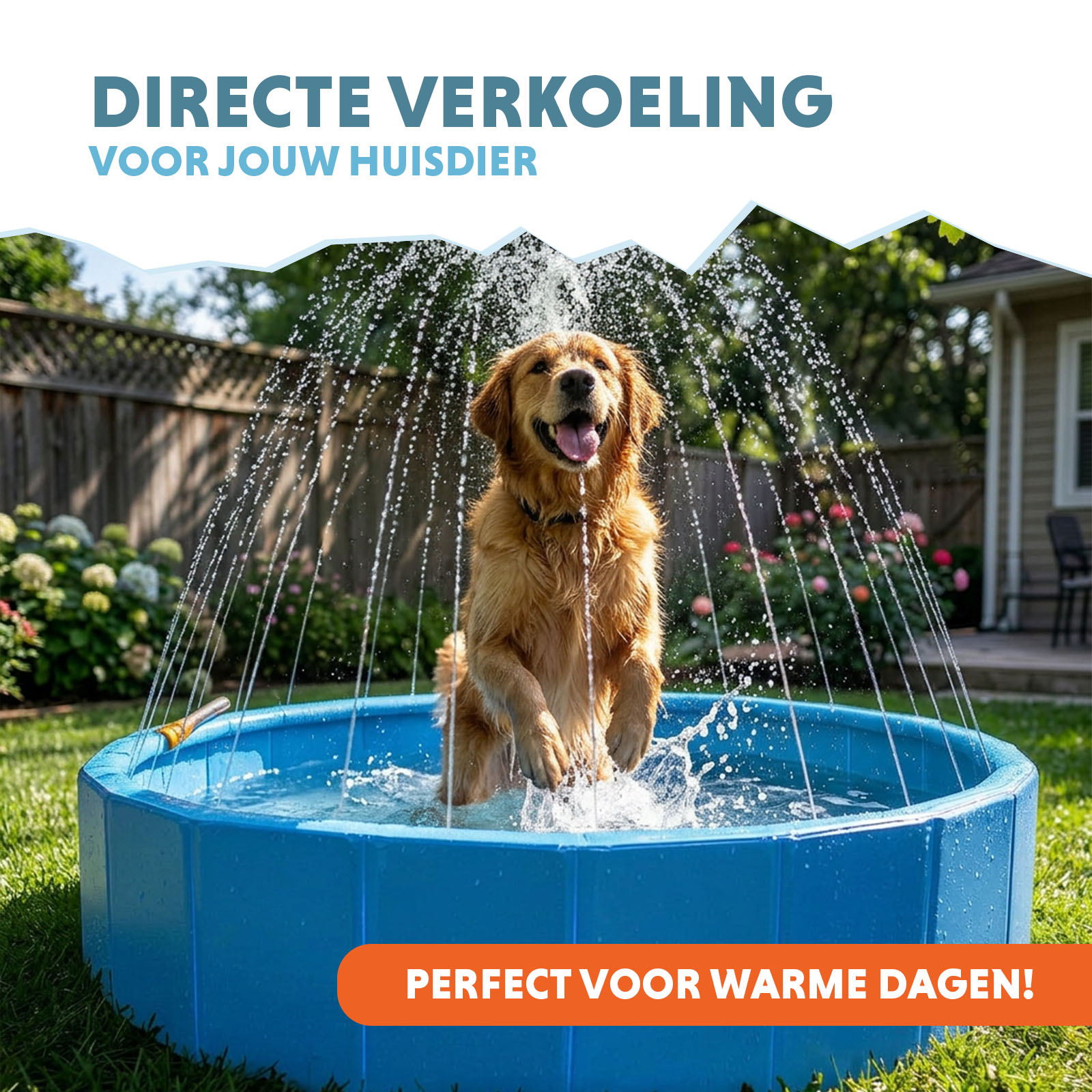 Coolpets Splash Sprinkler Pool — afbeelding 2