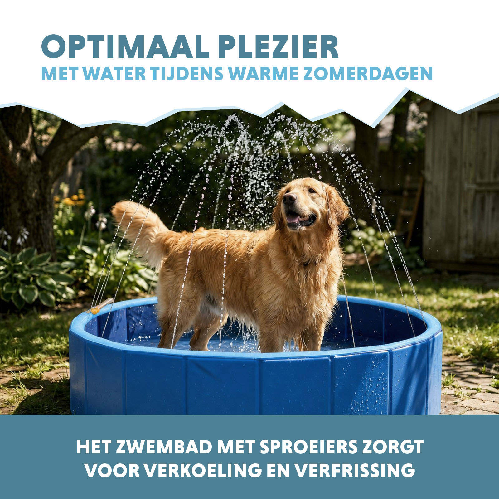 Coolpets Splash Sprinkler Pool — afbeelding 4