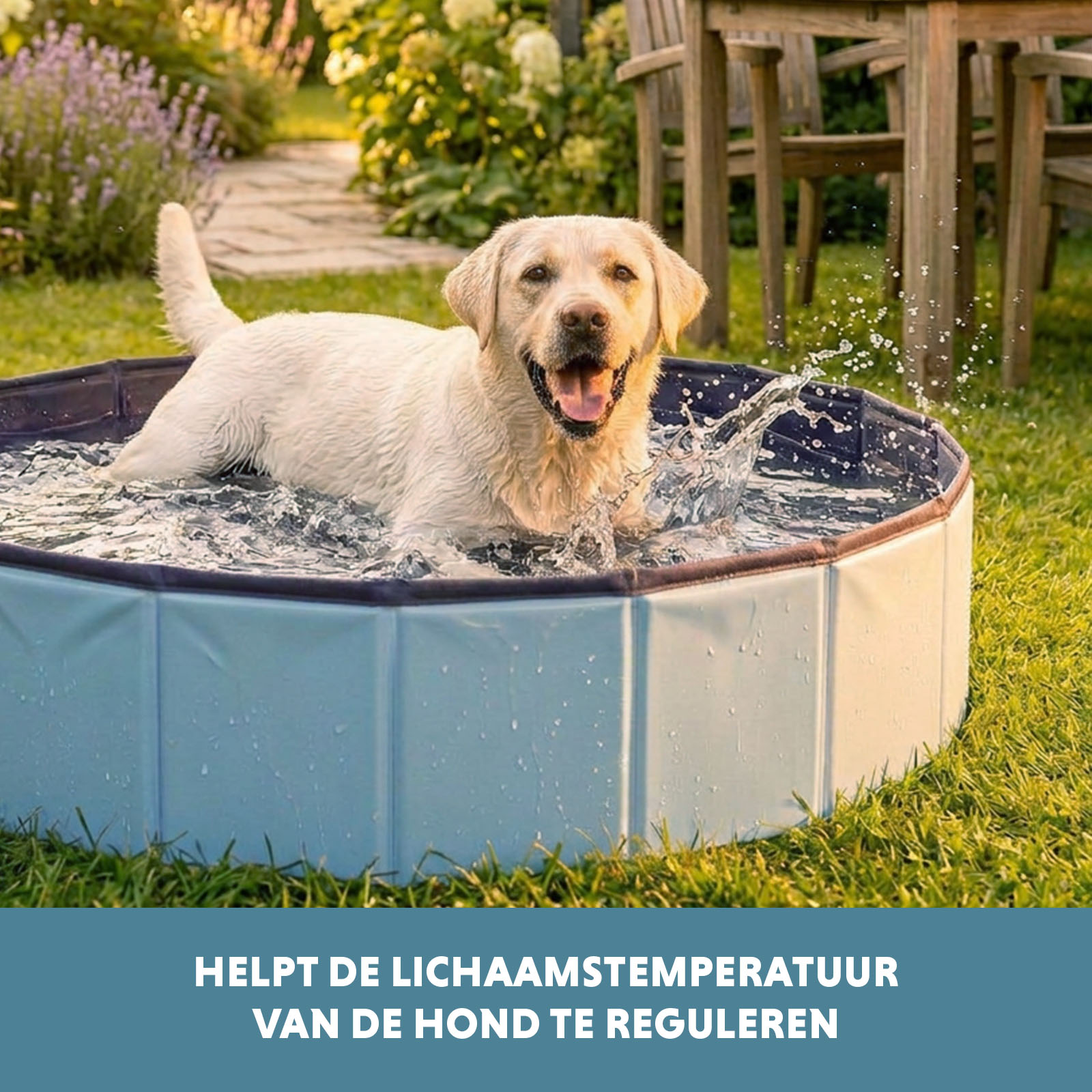 CoolPets Splash Dog Pool ø 80 x 20 cm — afbeelding 6