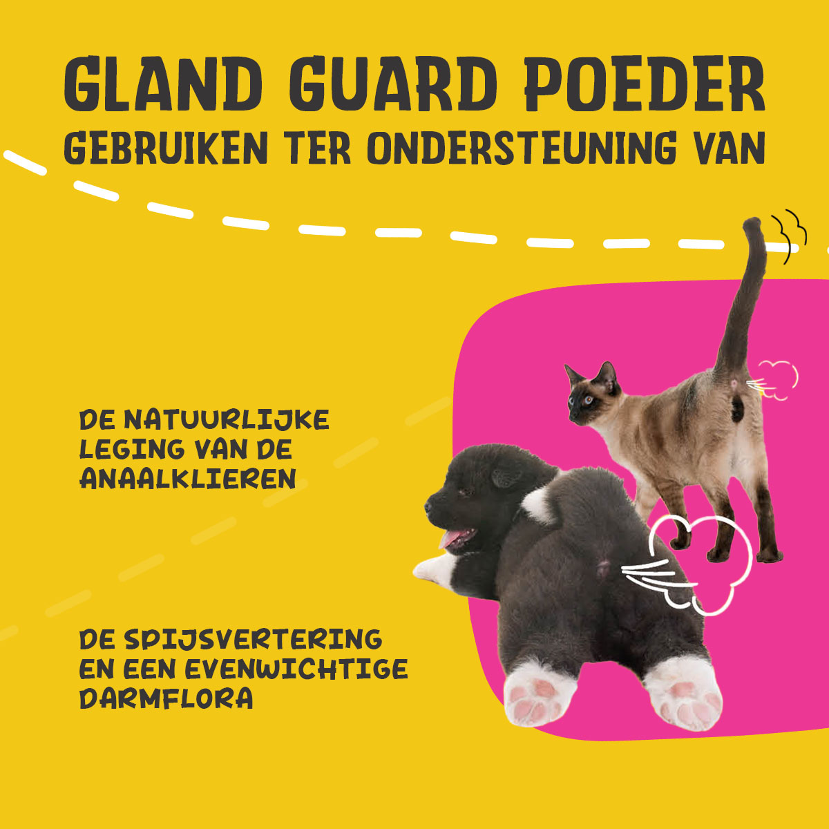Excellent Pets Gland Guard Poeder — afbeelding 3
