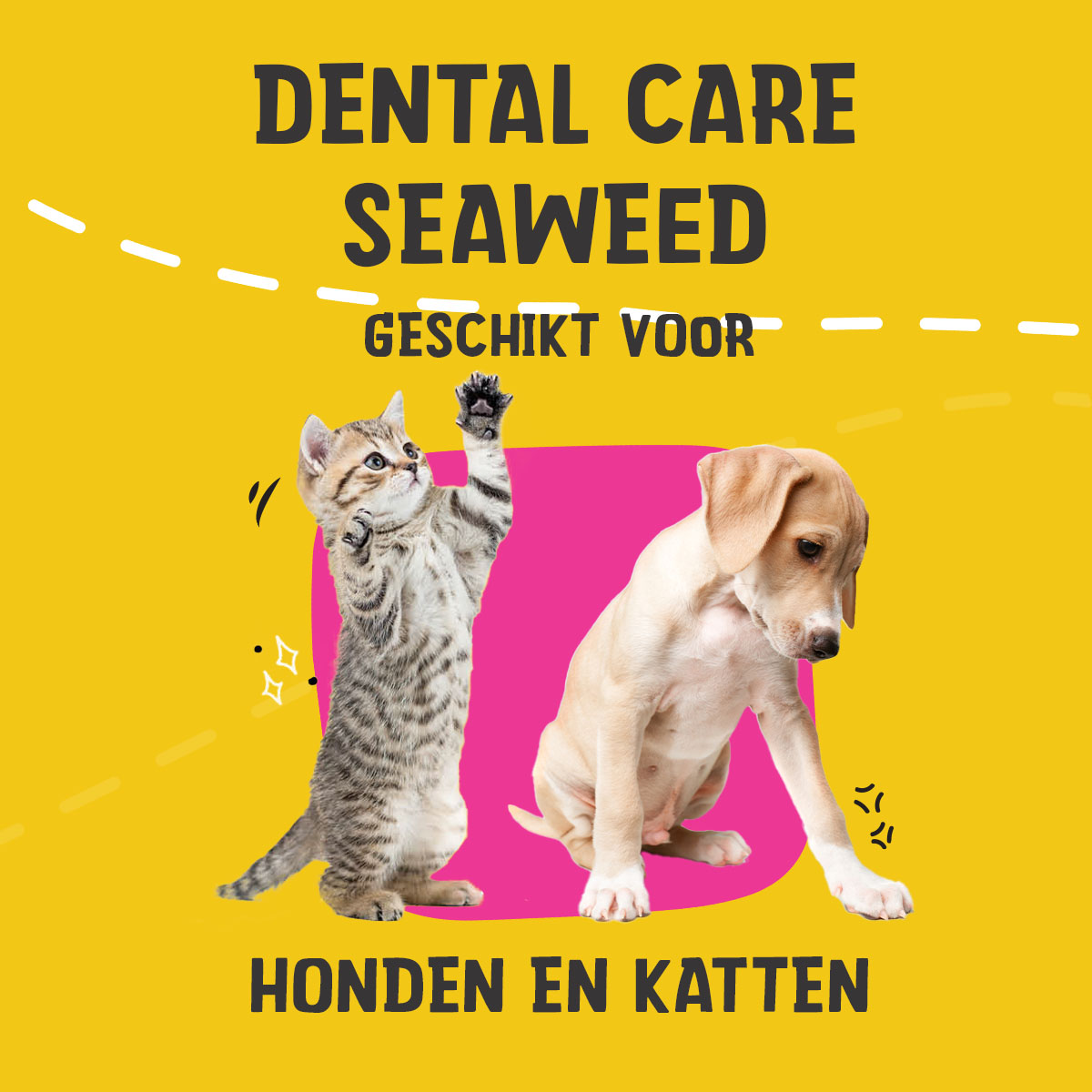 Dental Care Seaweed 75 g — afbeelding 2