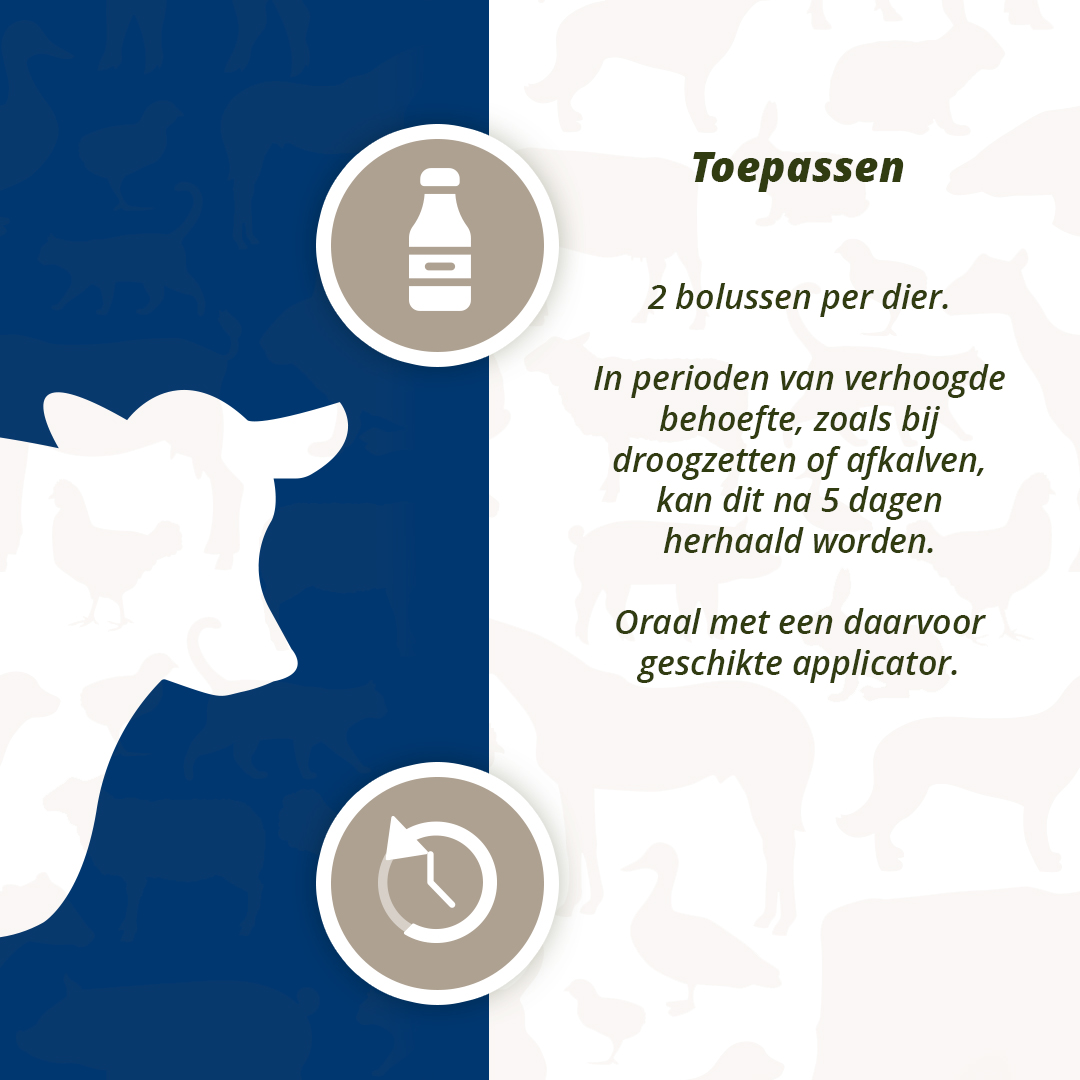 Direct Udder Support 4 x 60 g — afbeelding 5