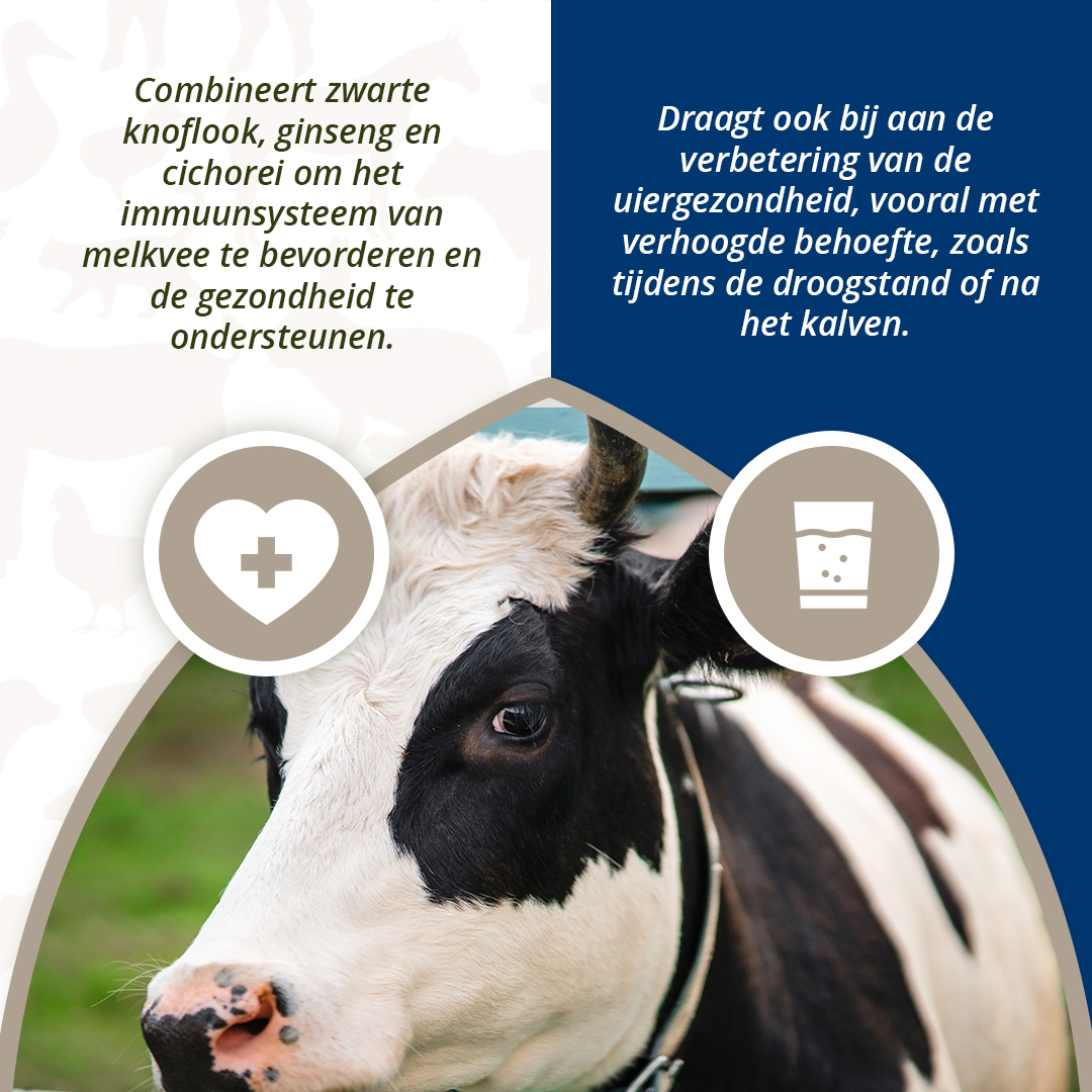 Direct Udder Support 4 x 60 g — afbeelding 4