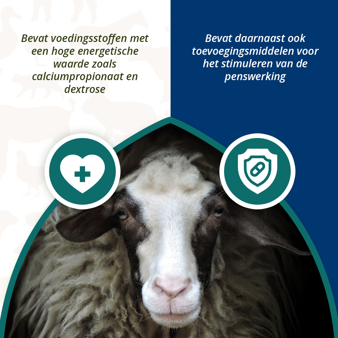 Excellent Ener Bolus Schaap & Geit — afbeelding 4