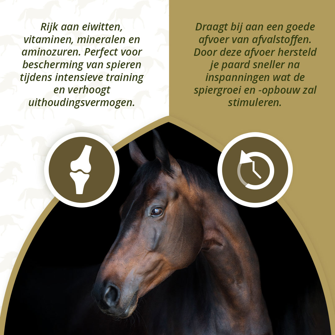 Excellent Horse Turbo 1 kg — afbeelding 3