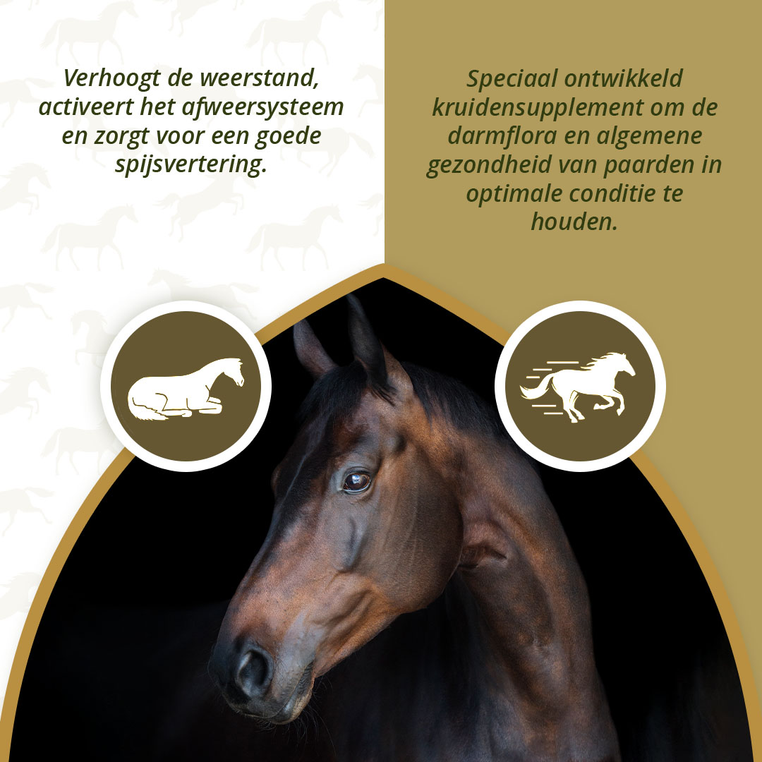 Excellent Horse Parex 1,5 kg — afbeelding 3
