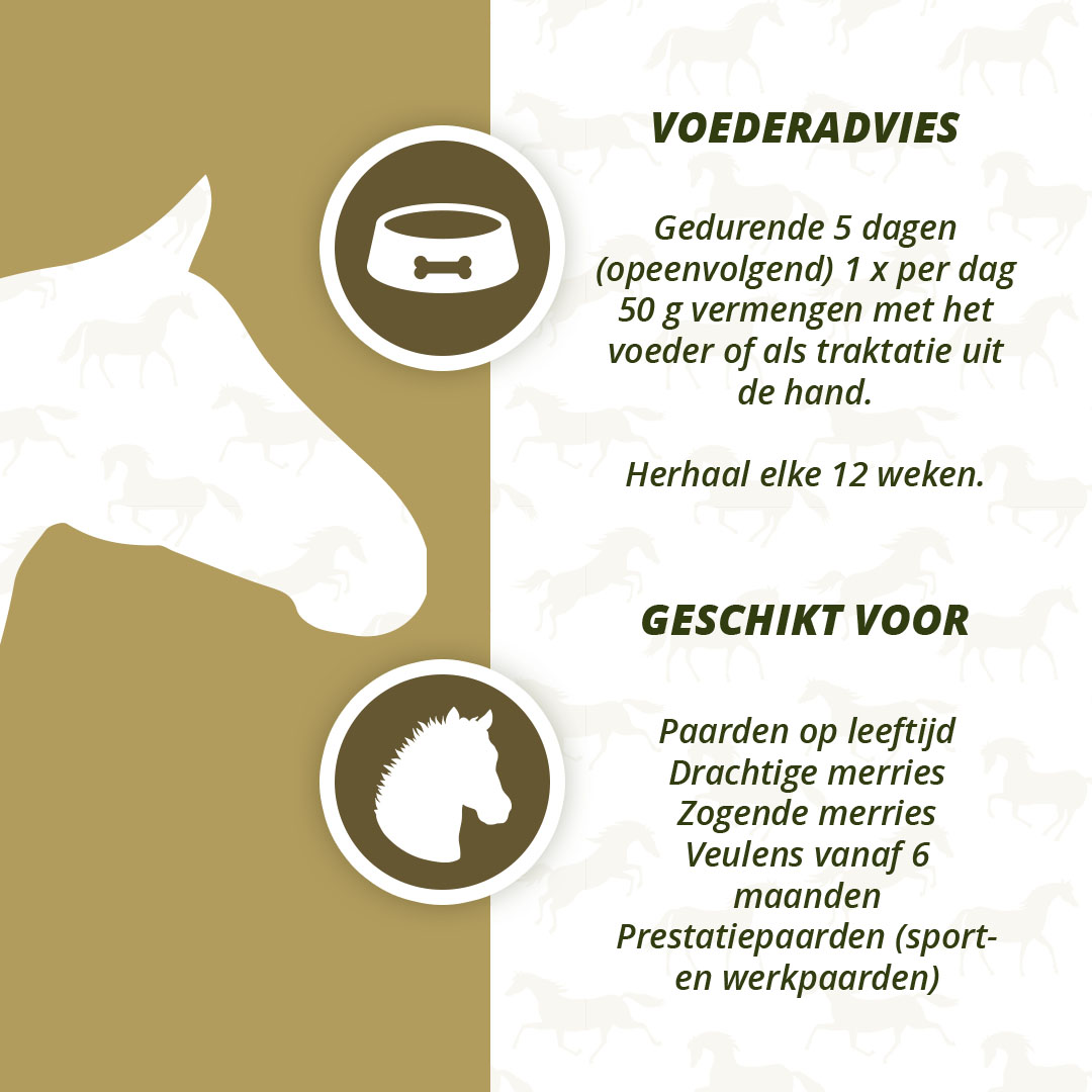 Excellent Horse Parex 1,5 kg — afbeelding 4