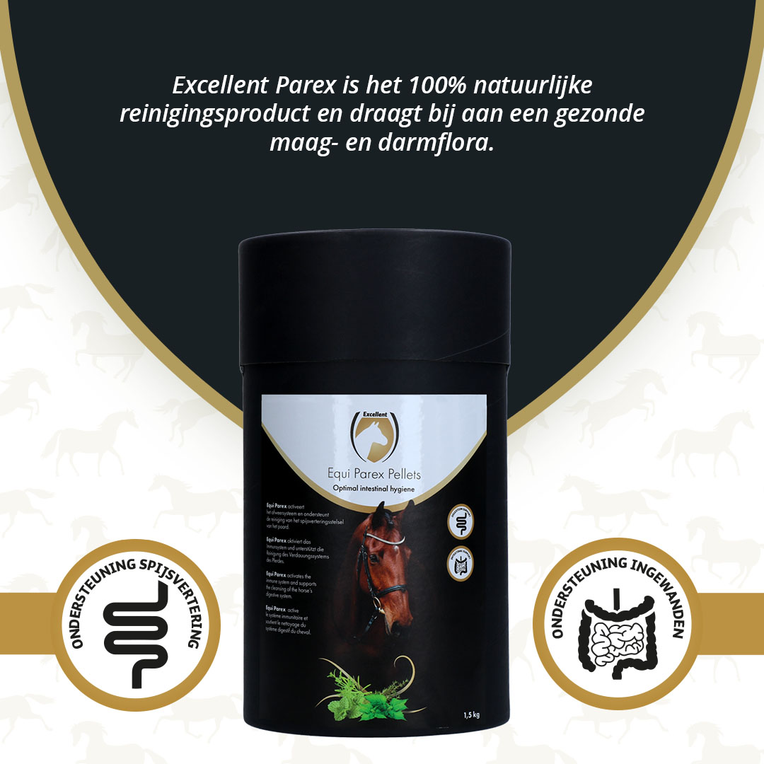 Excellent Horse Parex 1,5 kg — afbeelding 2