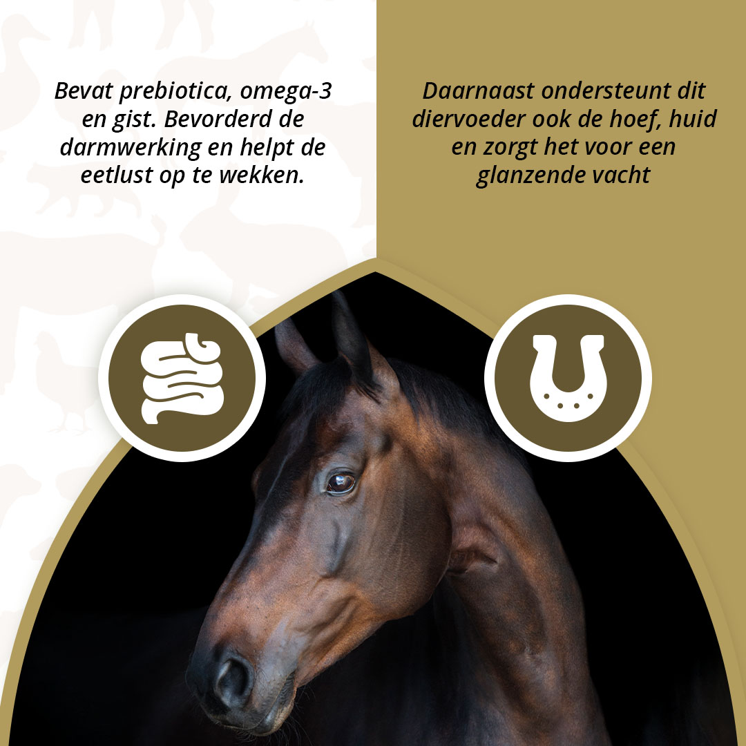 Excellent Horse Prebiotics 2,5 kg — afbeelding 3